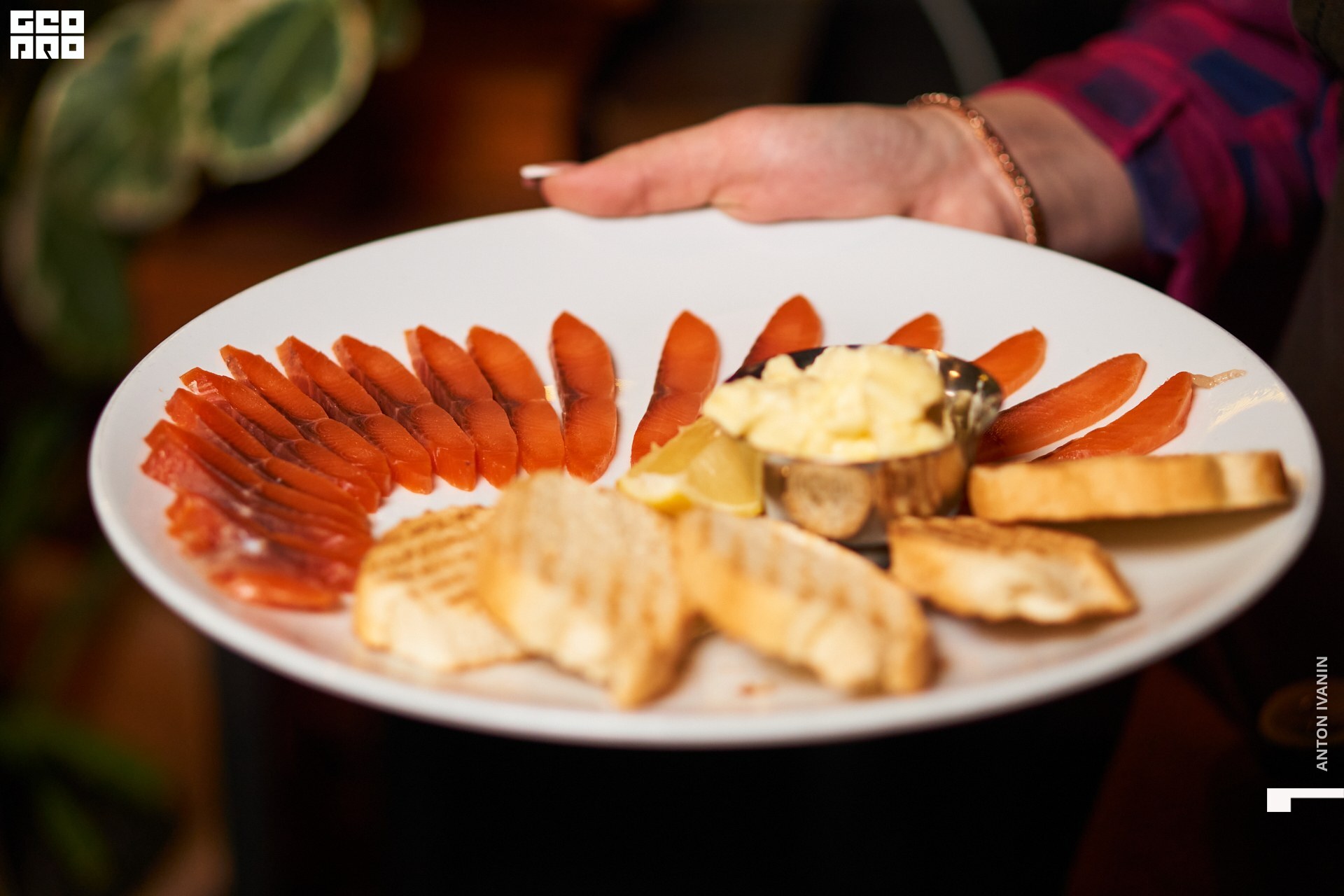 DSC08402 (Копировать).jpg