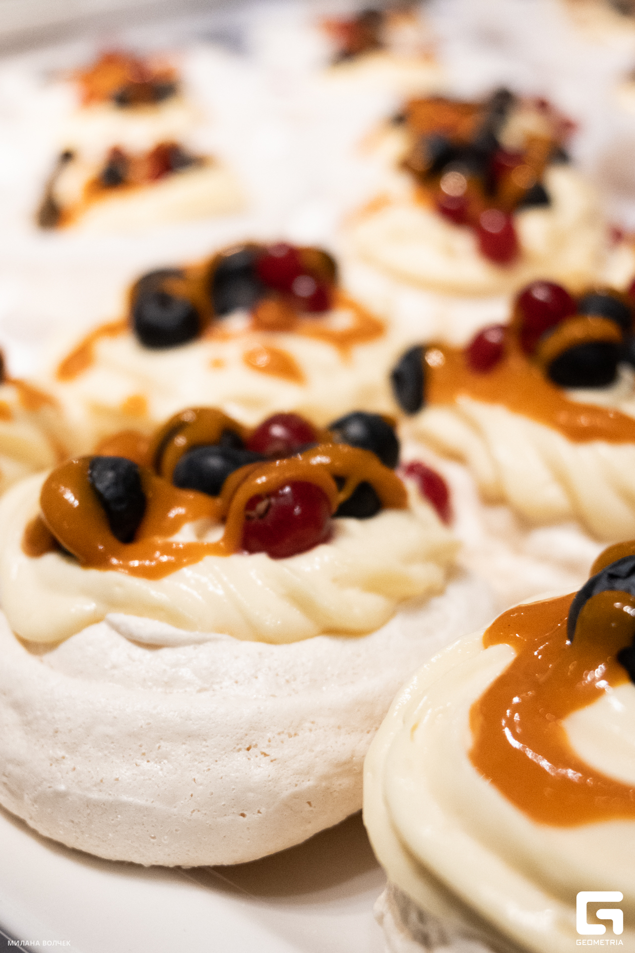 033_20231111 Волчек.jpg