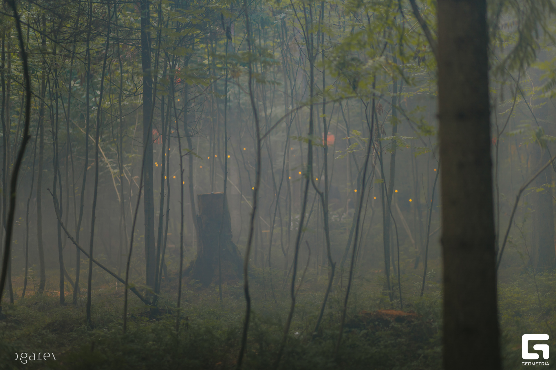 OUTLINE 2024-427-84.jpg