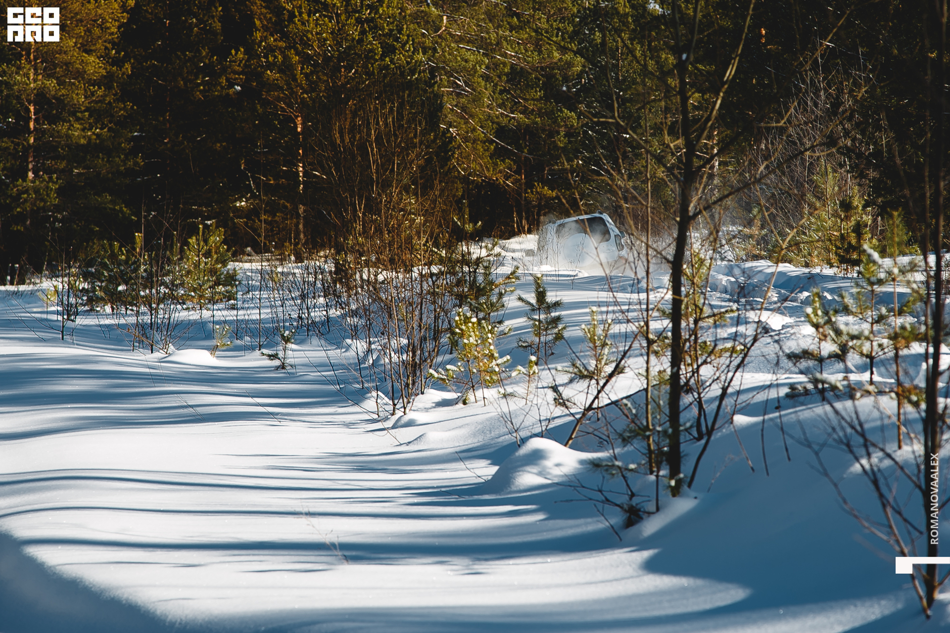 011  210222 145018_Романова.jpg