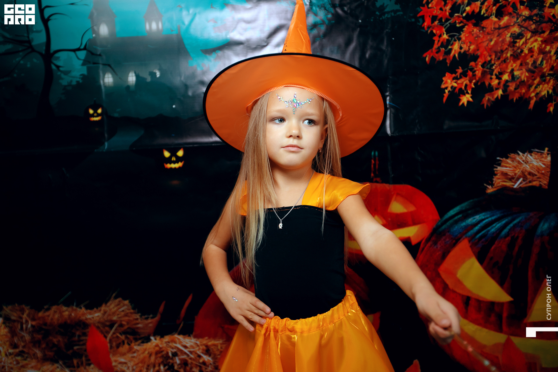 IMG_0213 копия.jpg