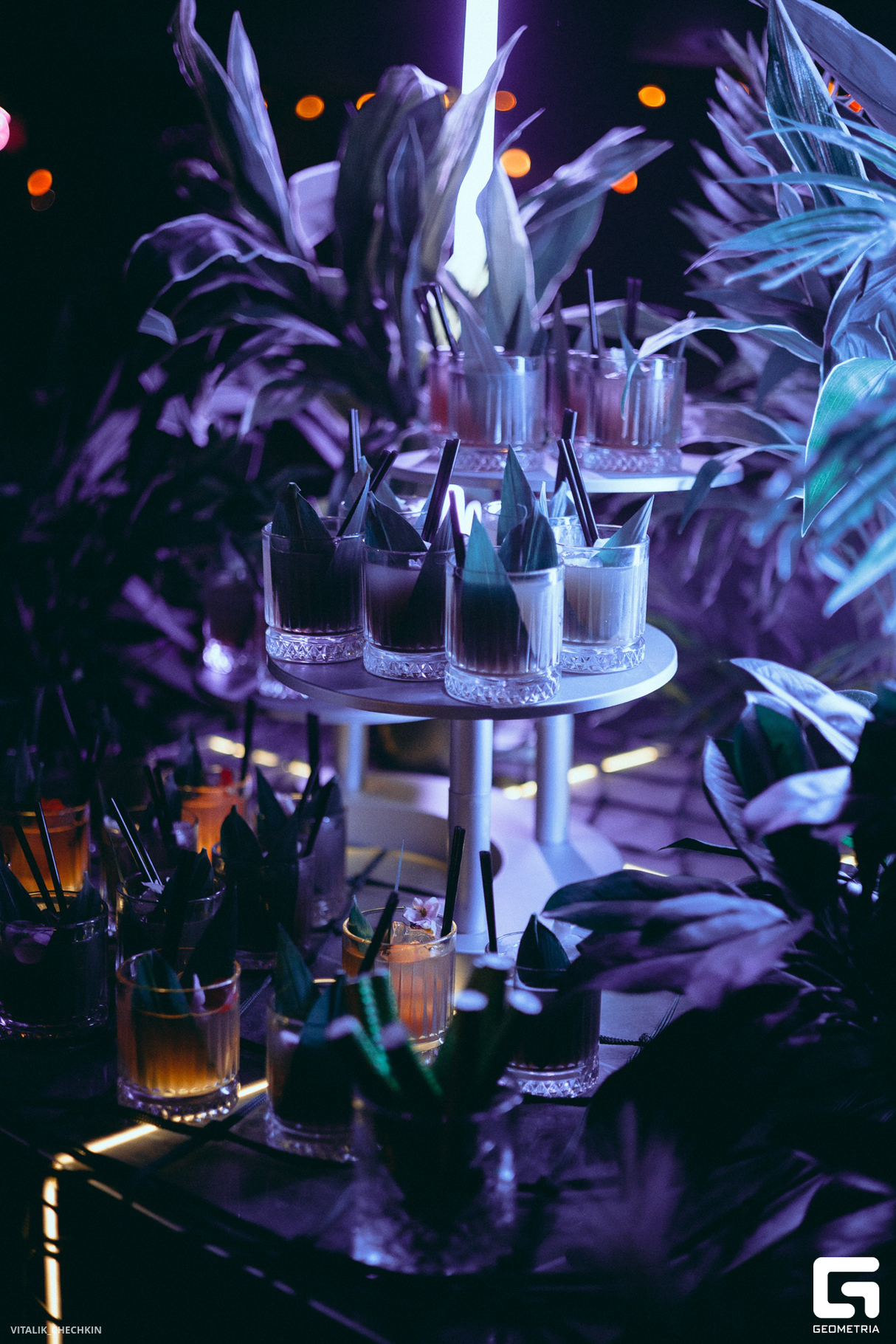 ANIMAL PARTY в ЧАЙКЕ на Пляже 14
