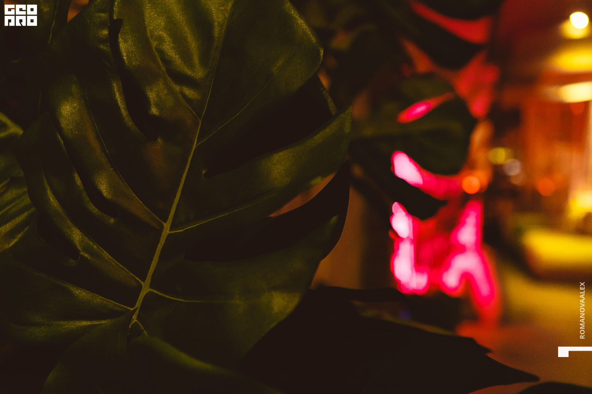 066 080322 212918 .jpg