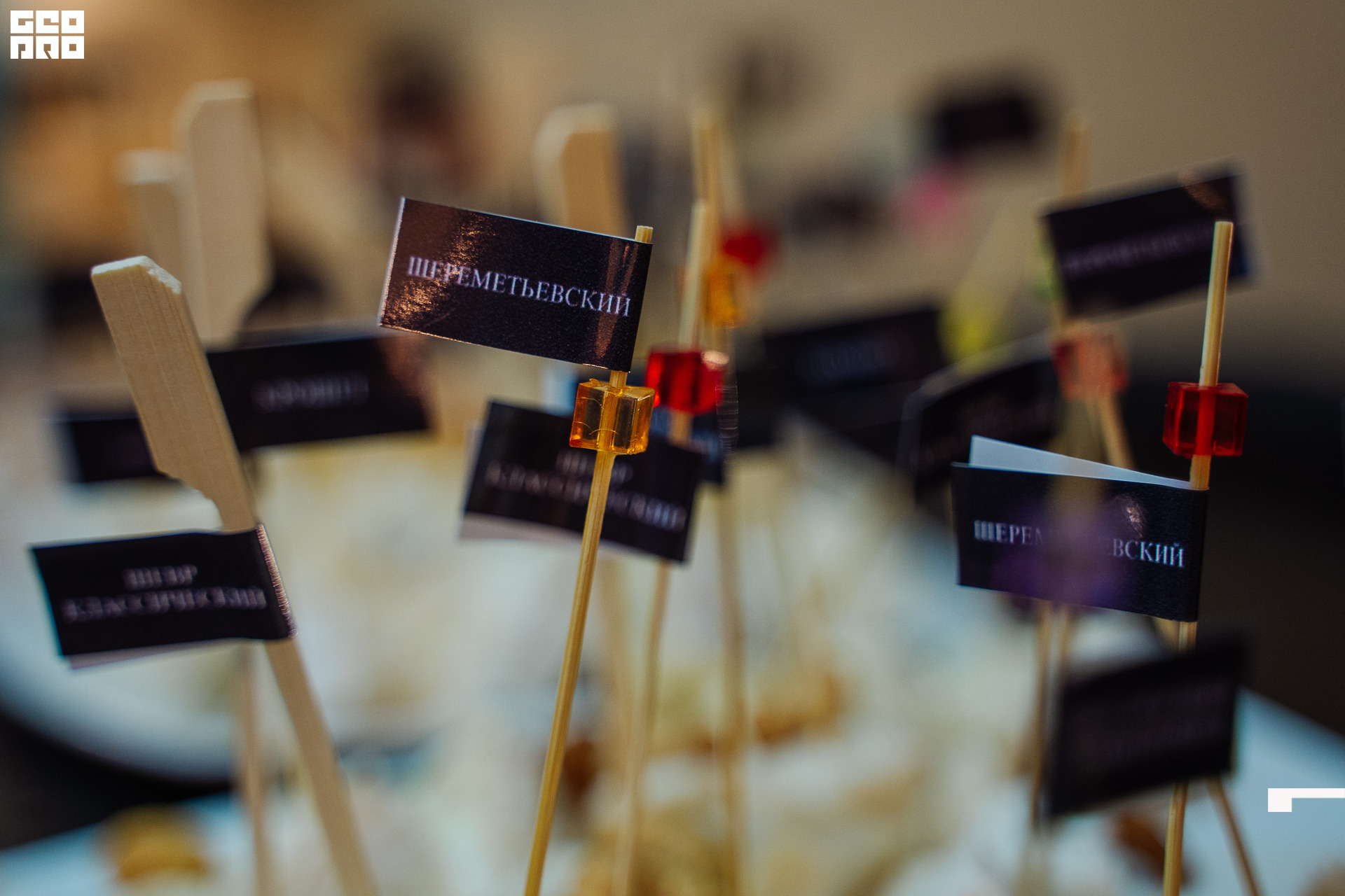 20221125 0008 _AV23756.jpg