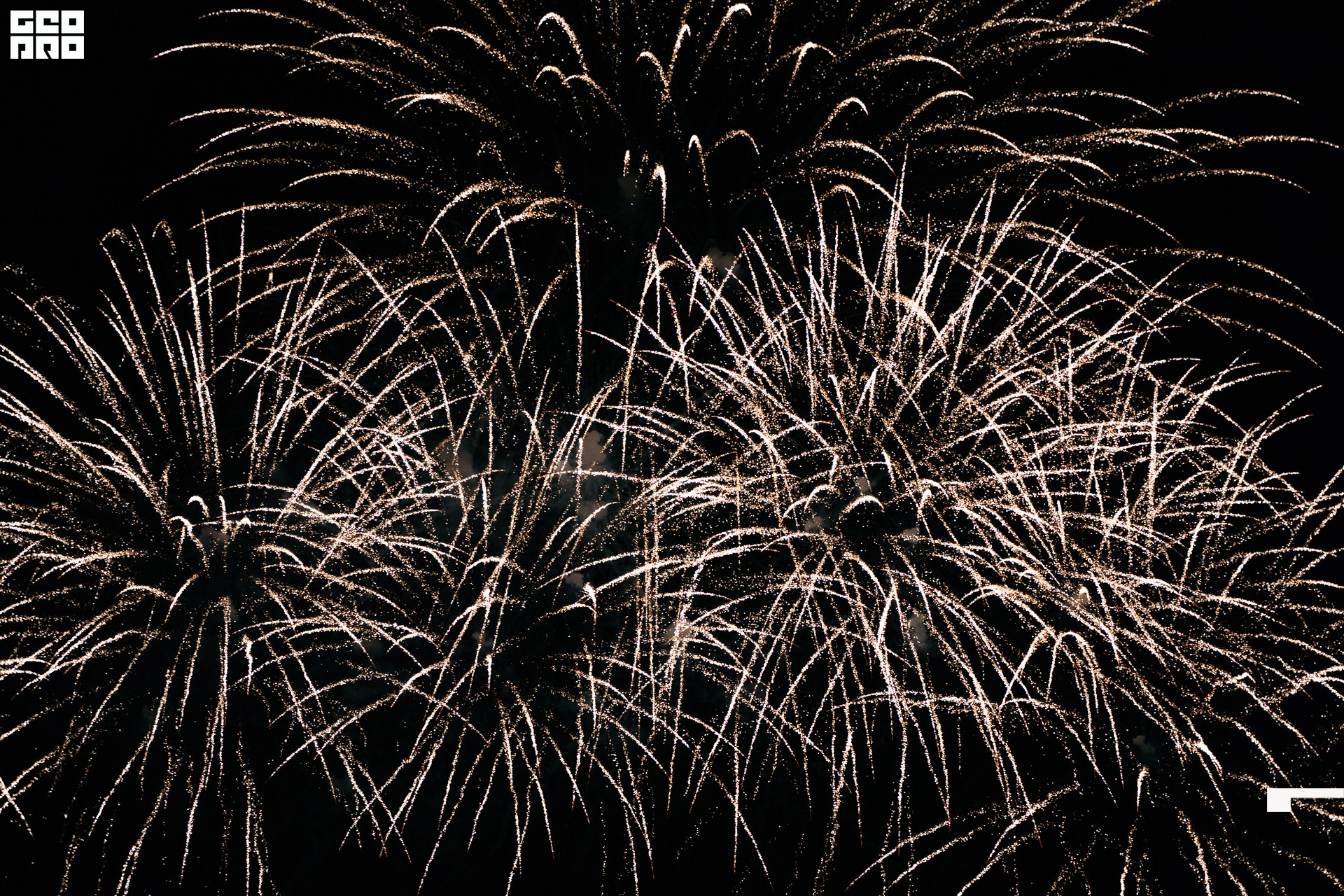  0249 20210828_ALV3992 копия.jpg