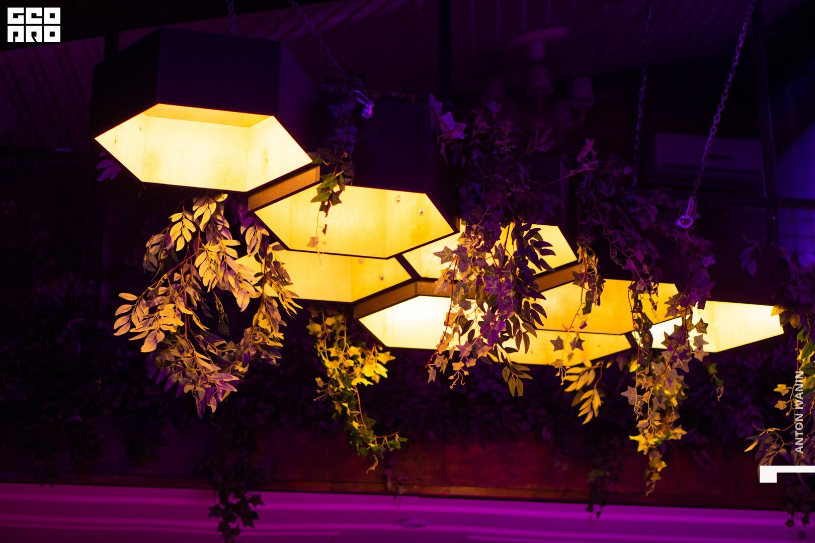 DSC07687 (Копировать).jpg