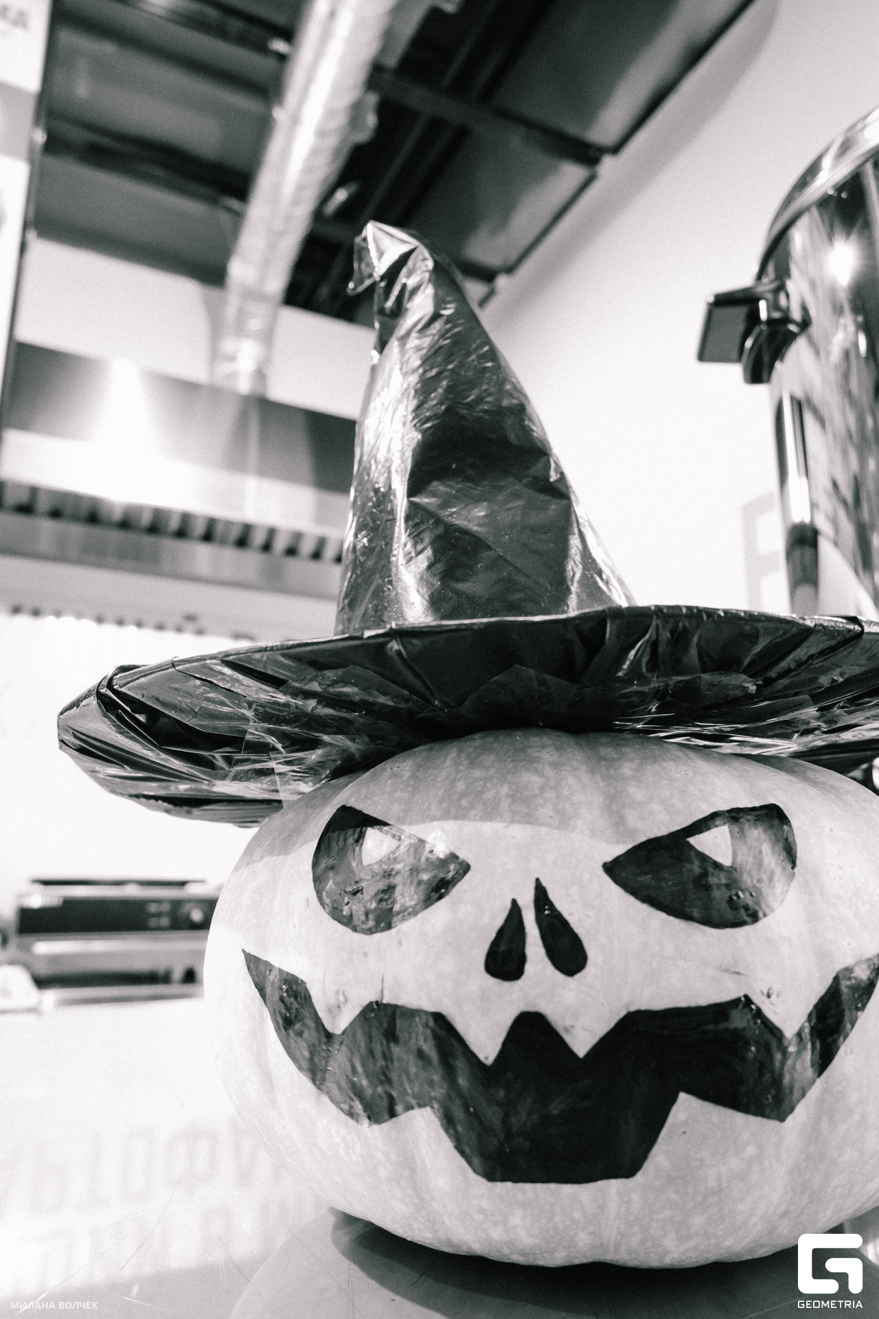 008_20231028 Волчек.jpg