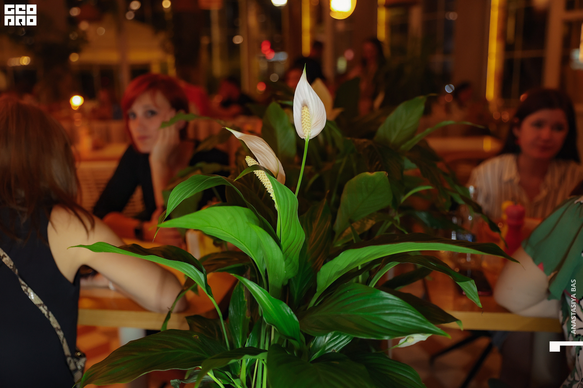 4.06 Птичка-197.jpg