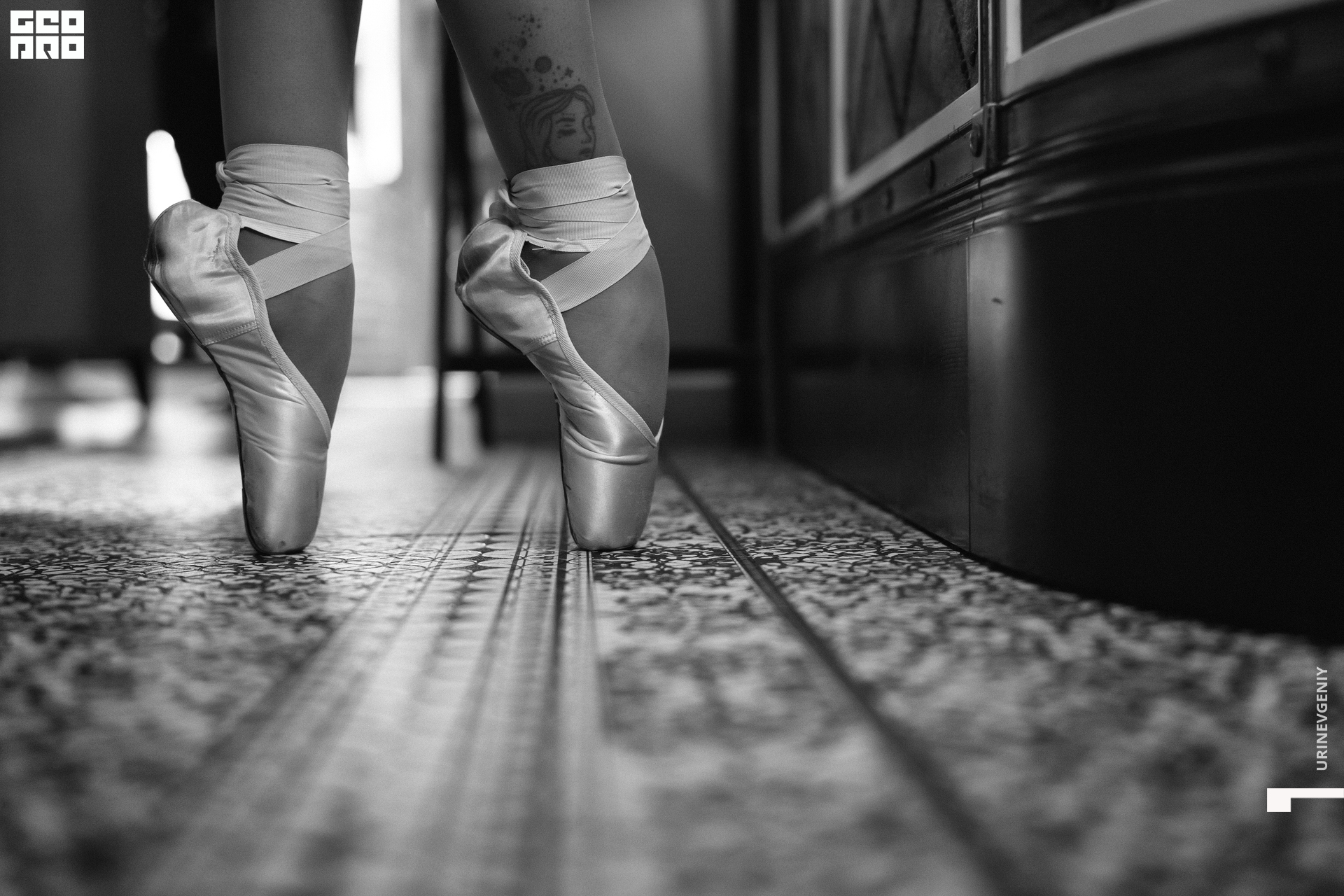 26.12.2020. Балерина и Бифштекс (43).jpg