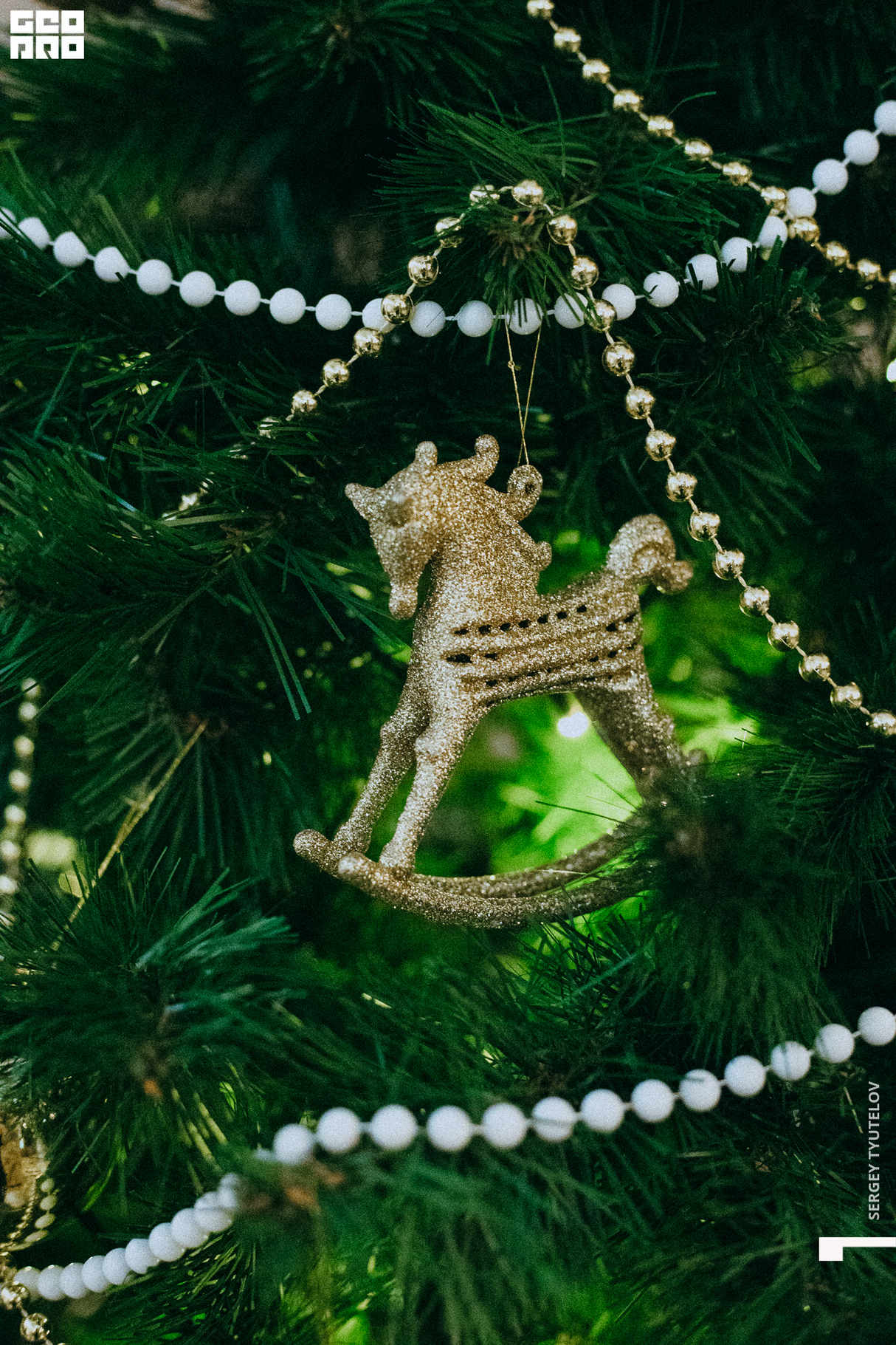 Новогдние корпаративы в Andrea's 19
