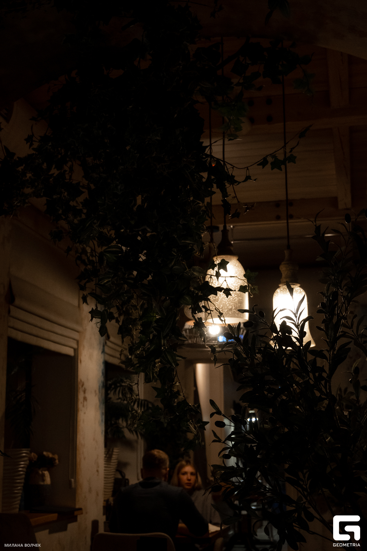 032_20231201 Волчек.jpg