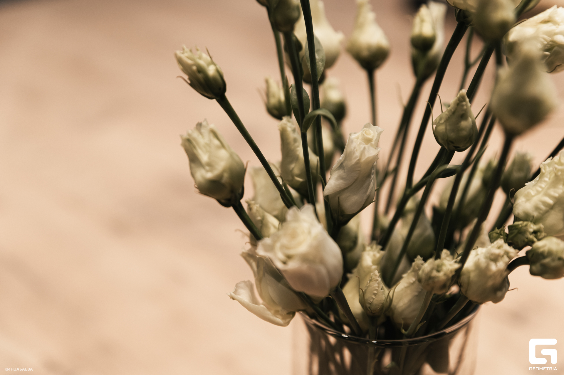 073 - 16_12_24 - 10_24_56 - Kinzabaeva.jpg