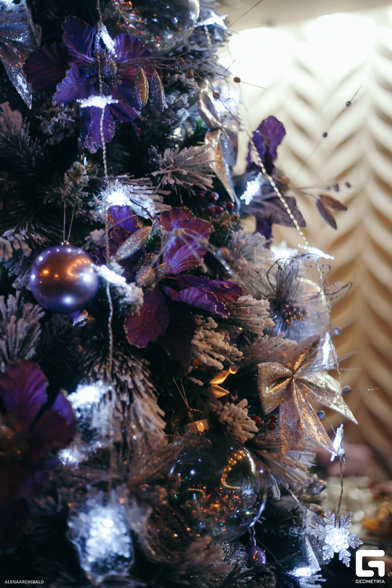 2023-12-22 19-30-57_alenaarchibald072.JPG