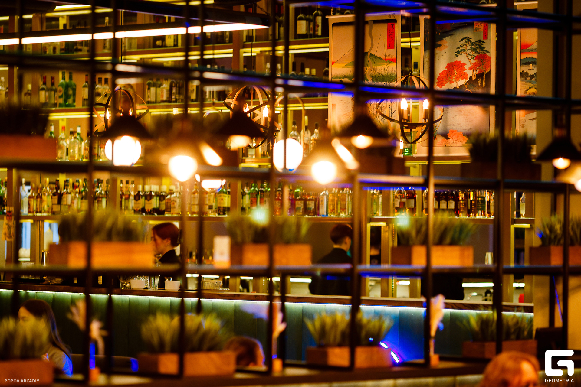 IMG_3935-Улучшено-Ум. шума.jpg