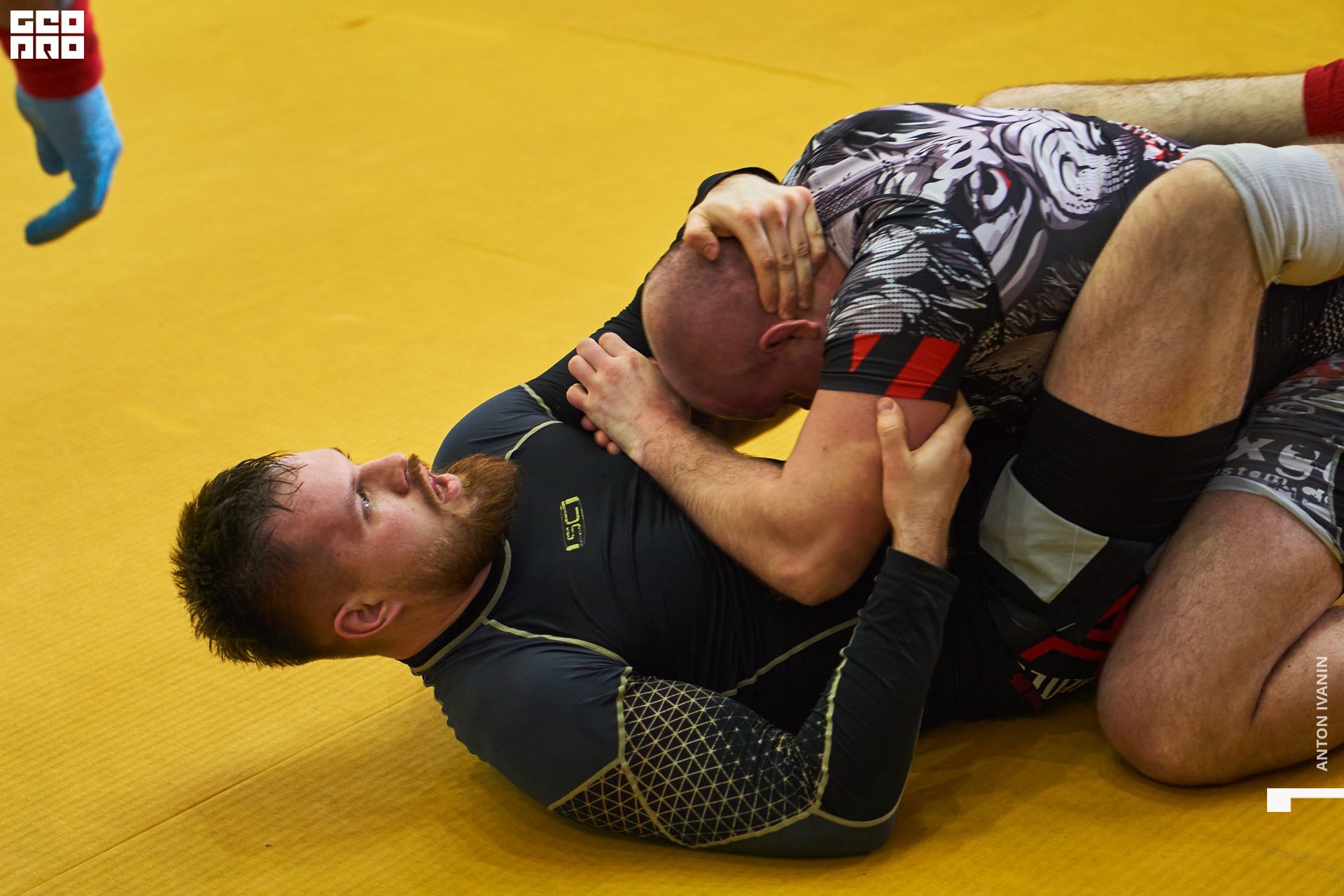 DSC09225 (Копировать).jpg