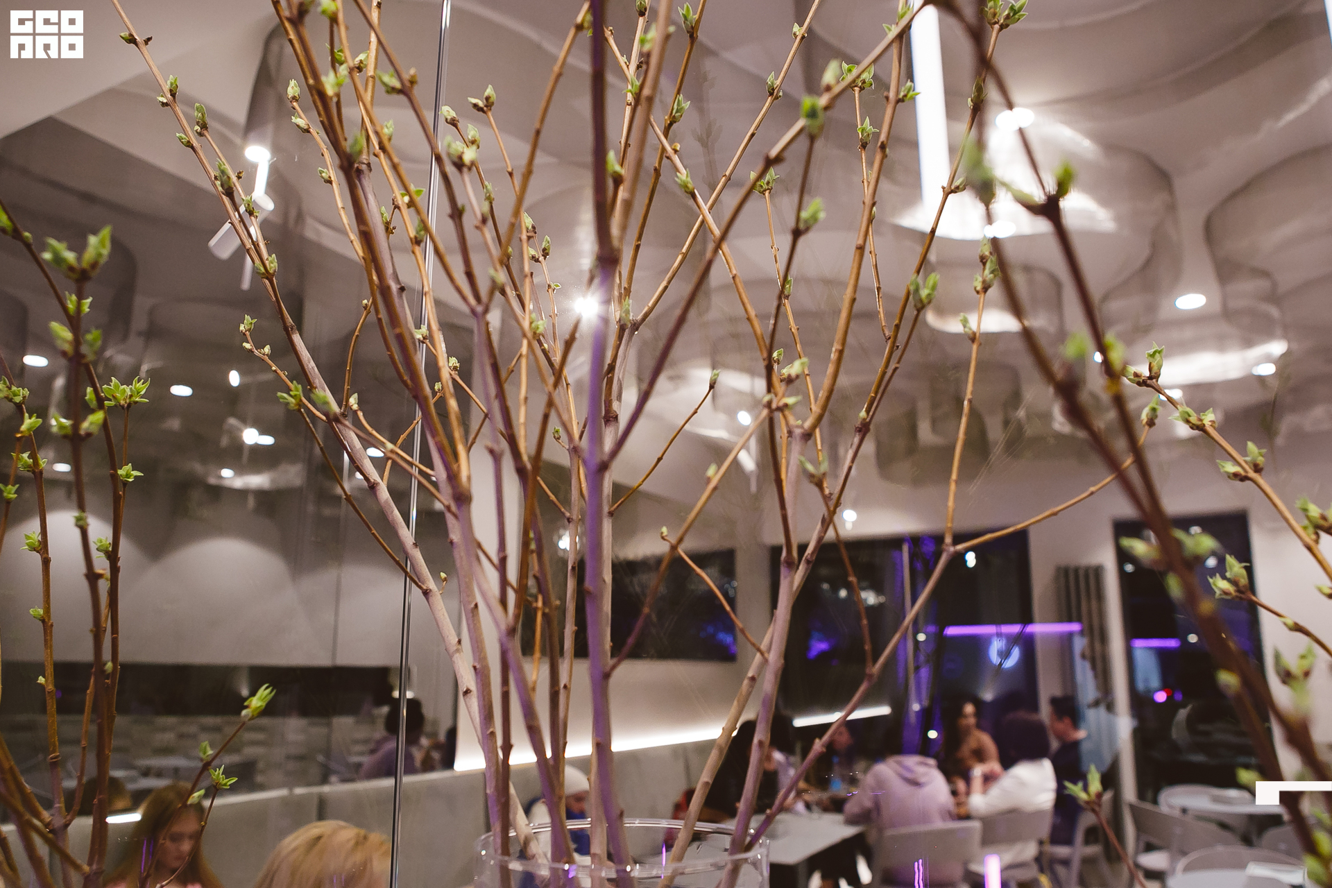 171 030322 223751 .jpg