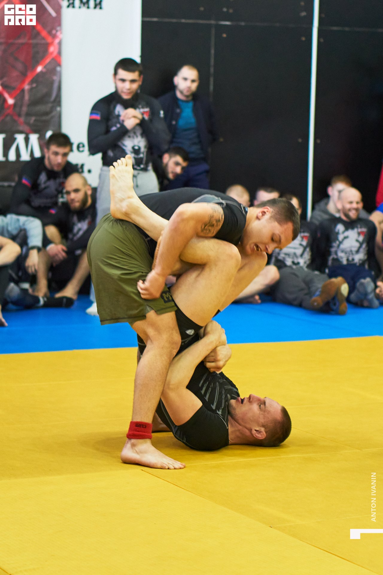 DSC08758 (Копировать).jpg