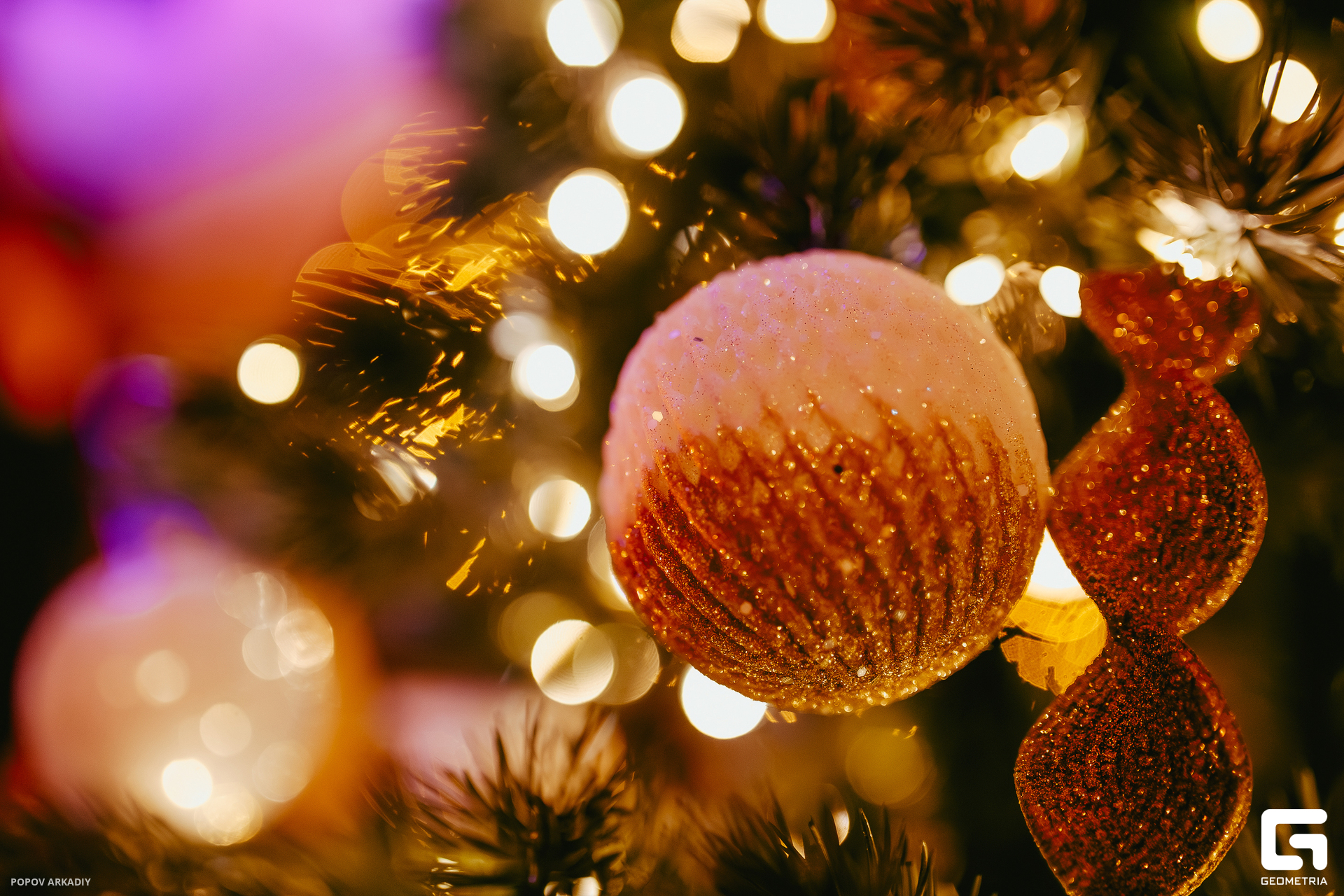 Top (142 из 142).jpg