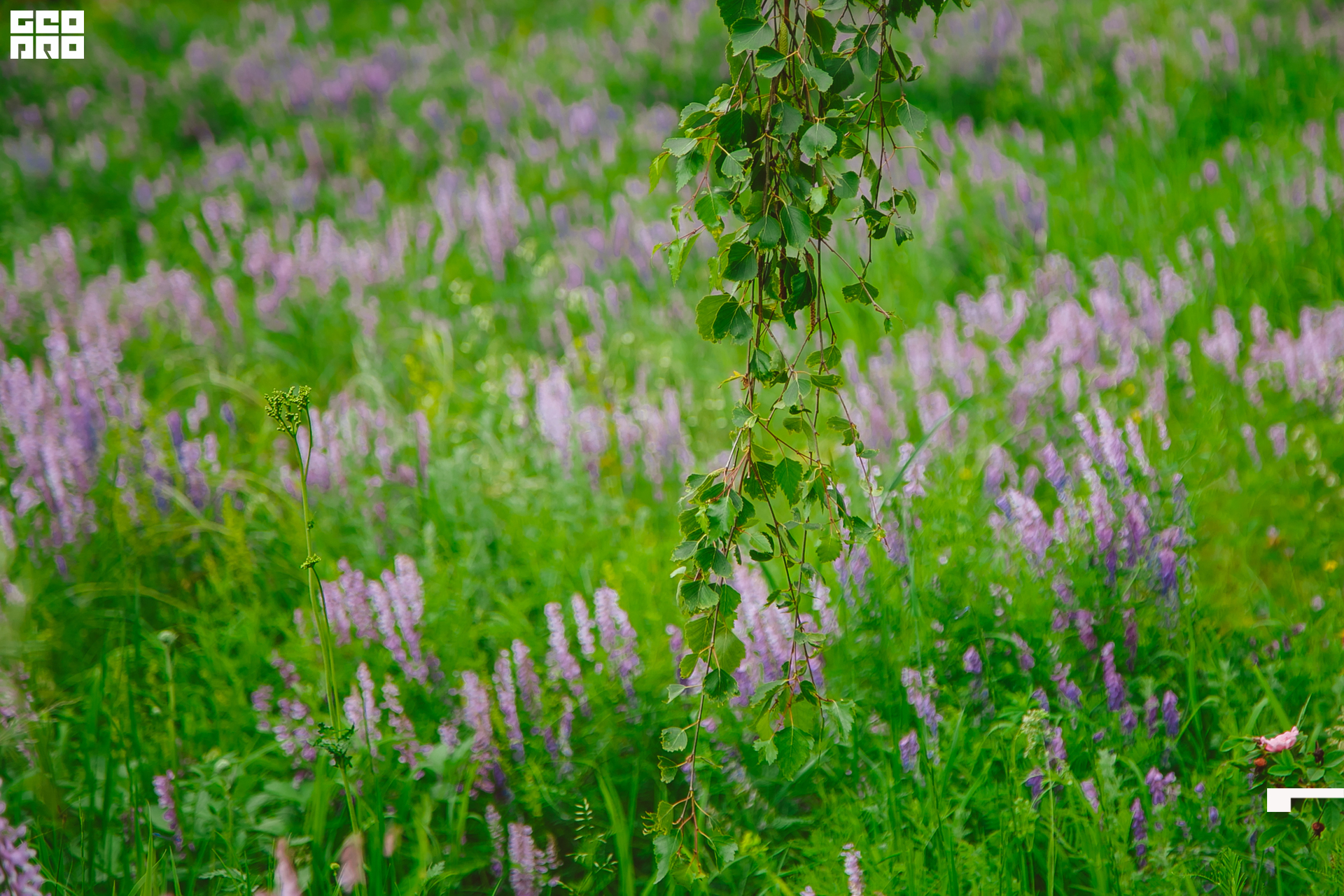 128  06192022  233631 .jpg