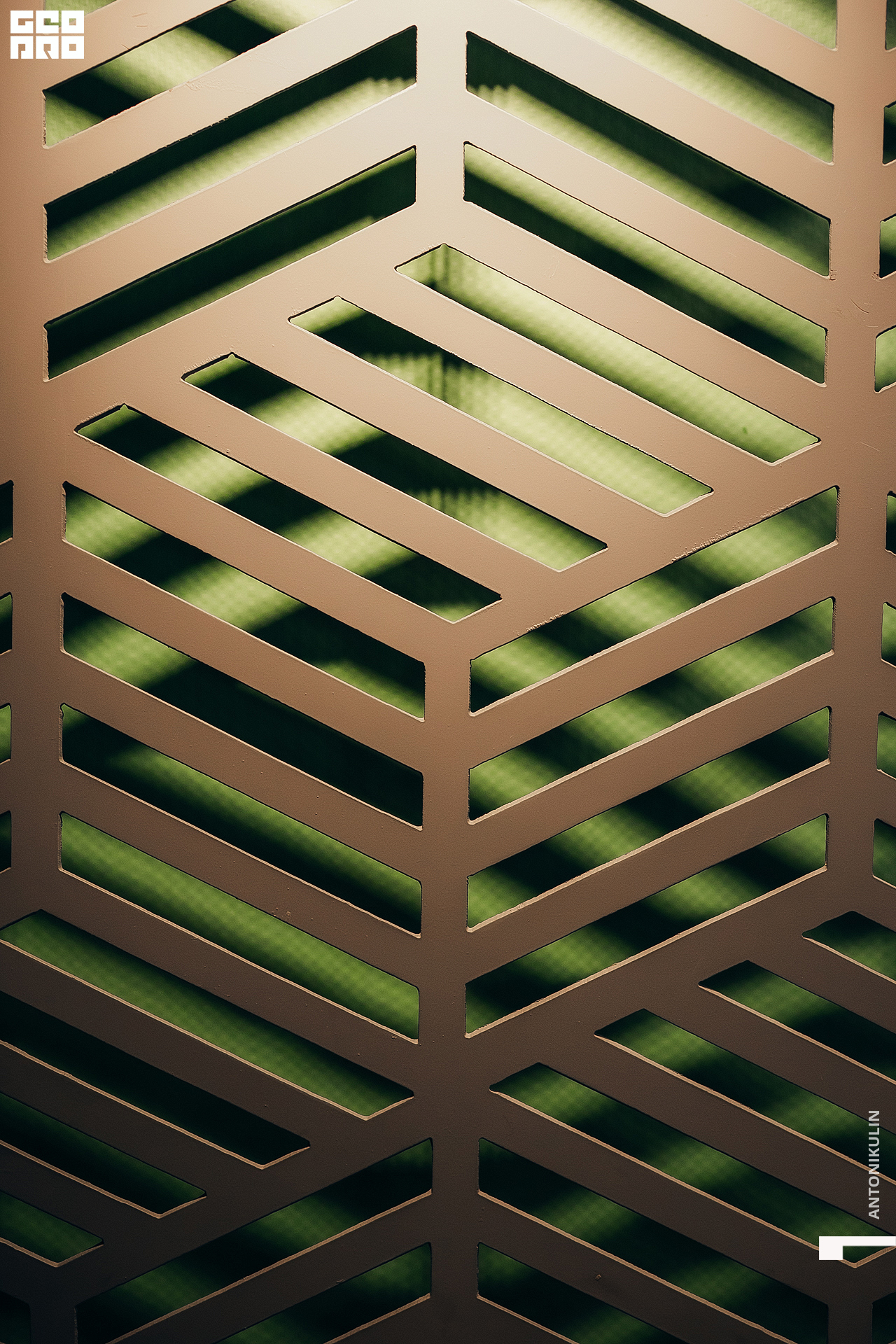 untitled shoot-1556.jpg