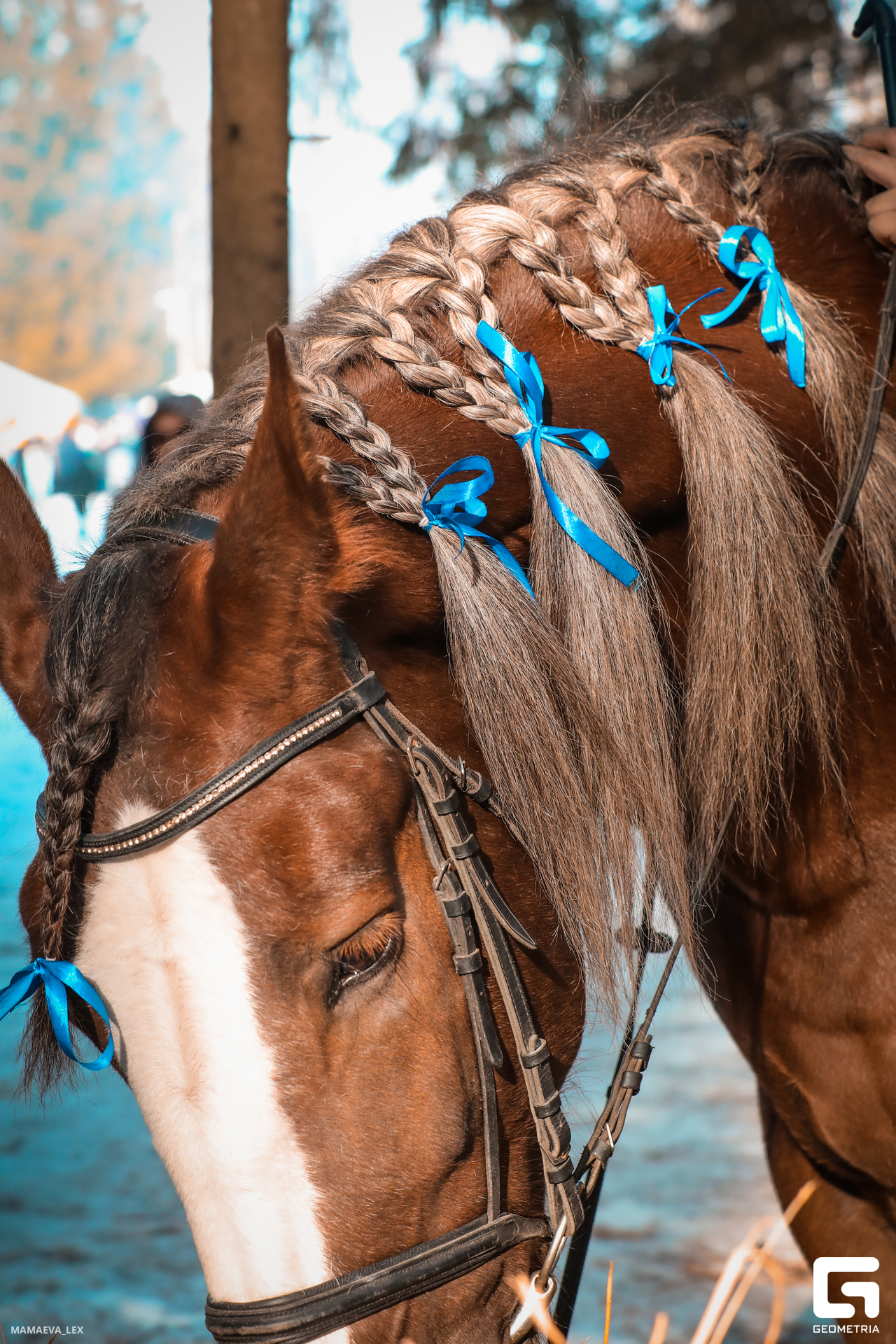 2024-03-18 21-27-31 (54).JPG