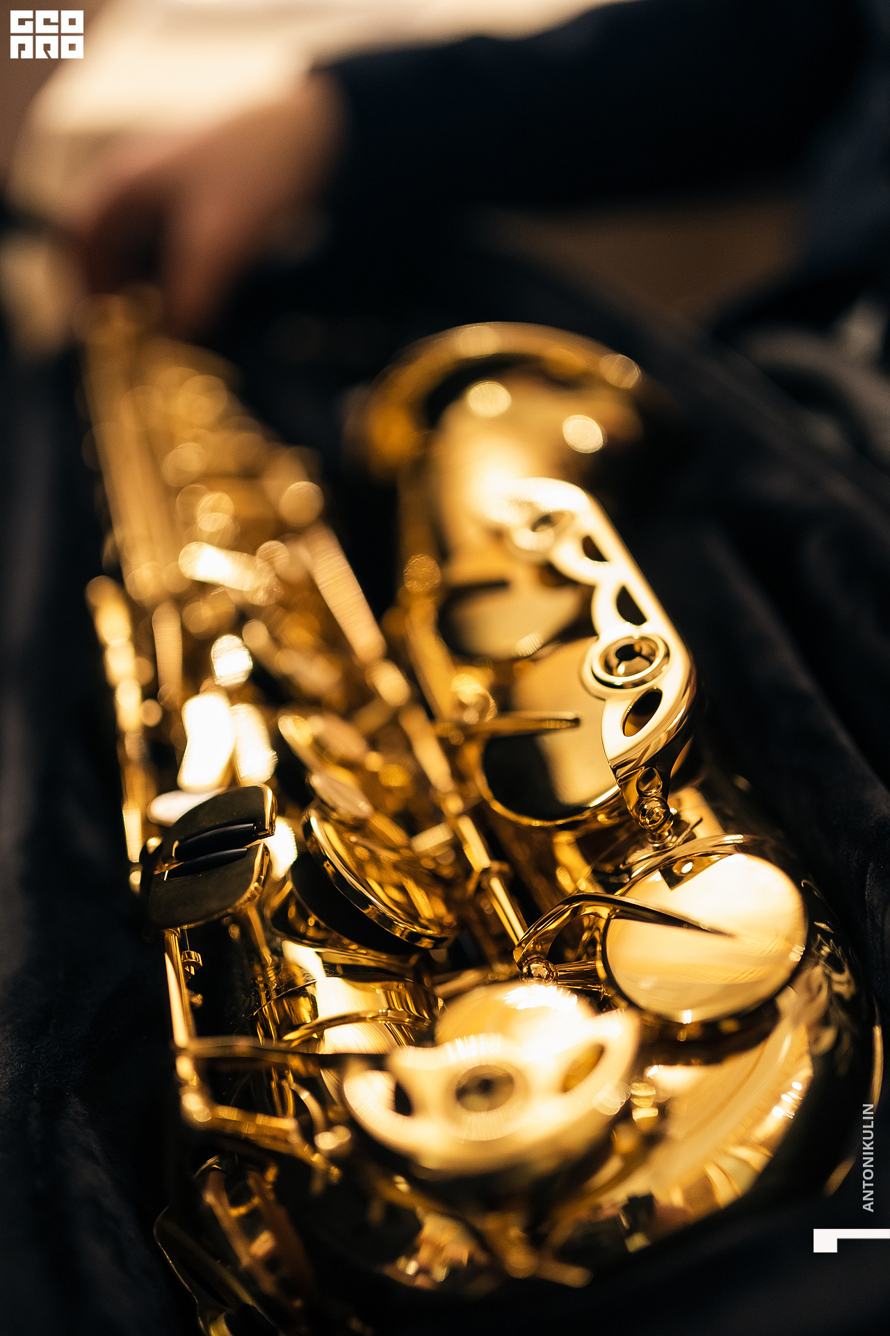 untitled shoot-8604.jpg