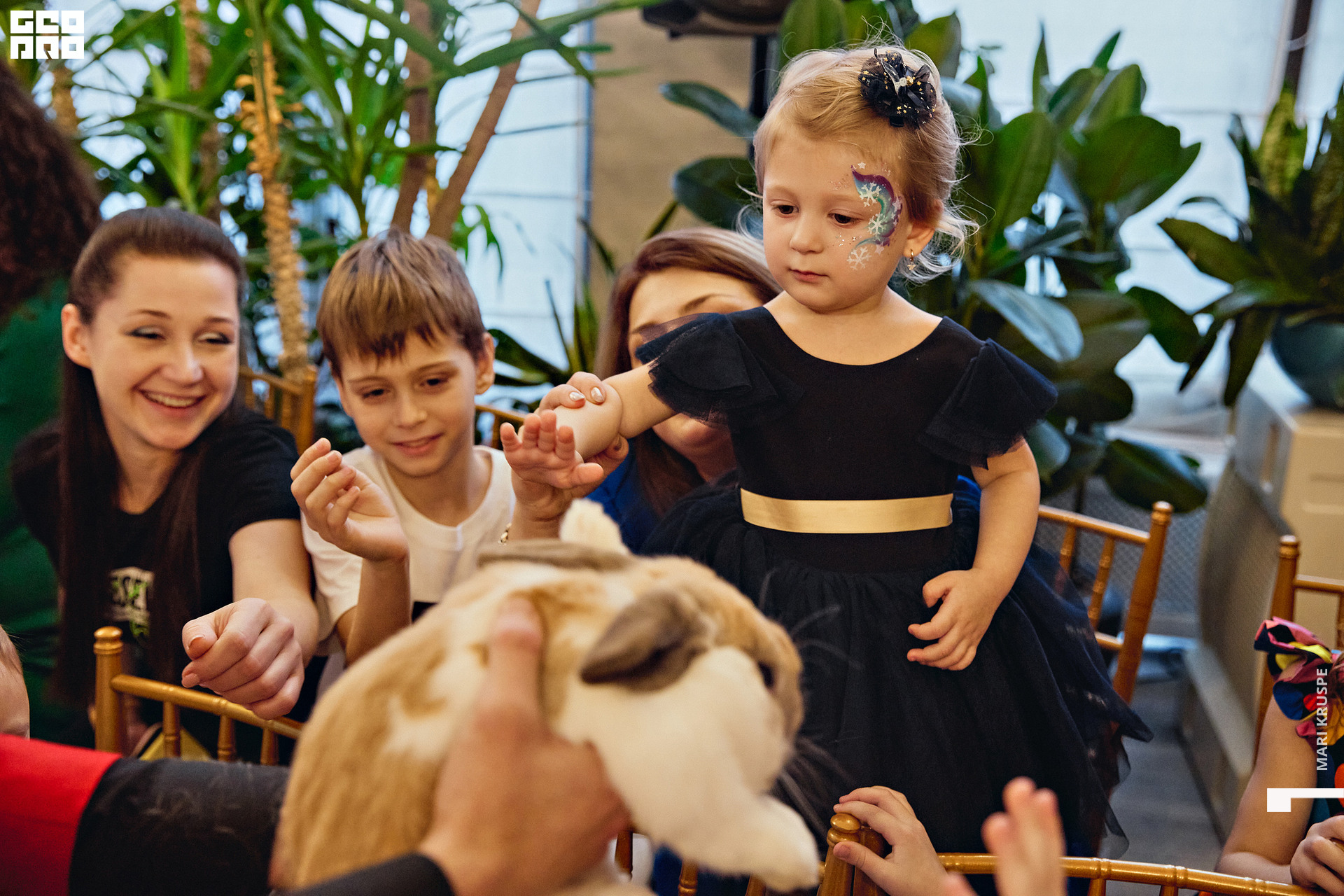 _MG_3881 копия.jpg