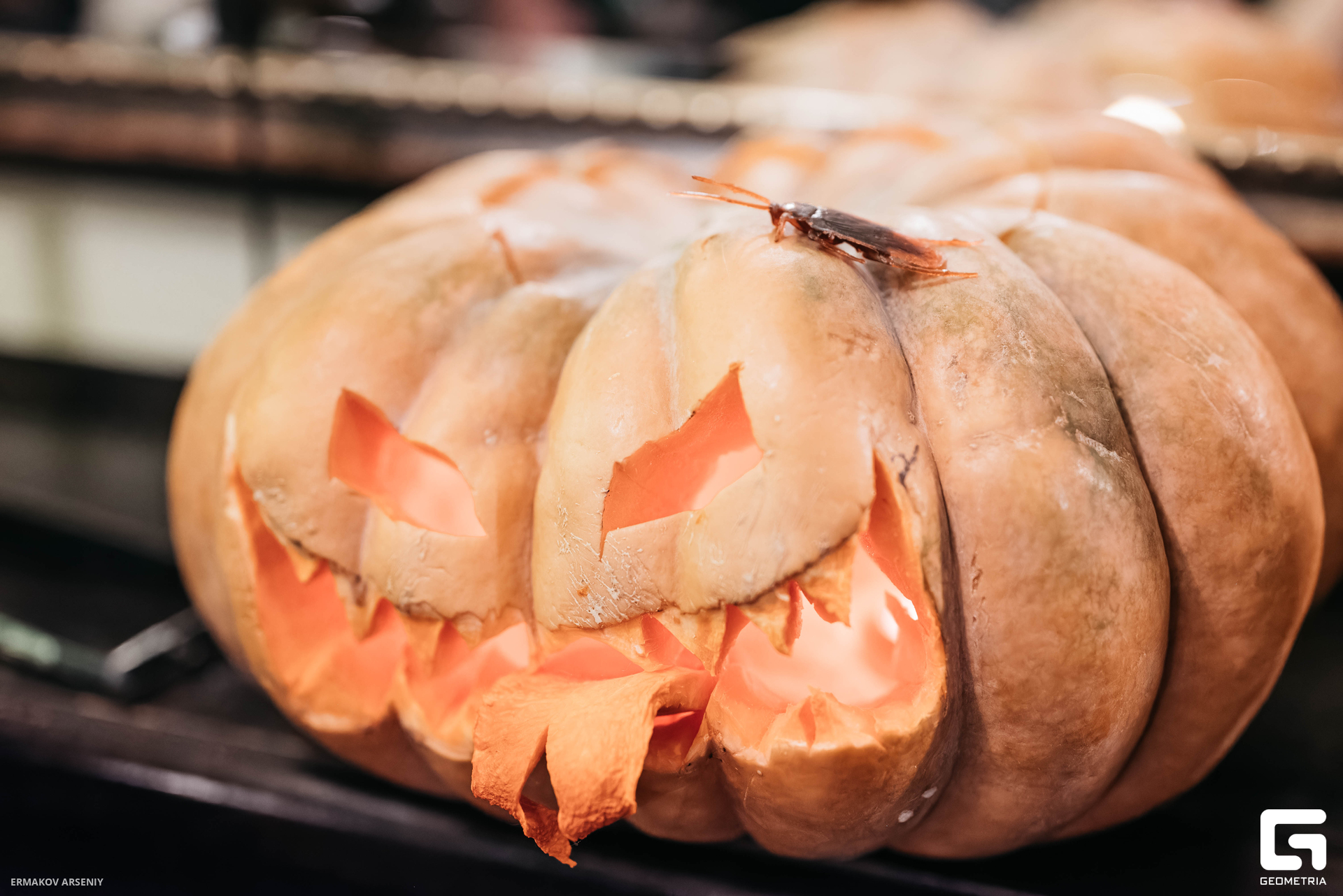 072 20231027 192219 ermakov.jpg