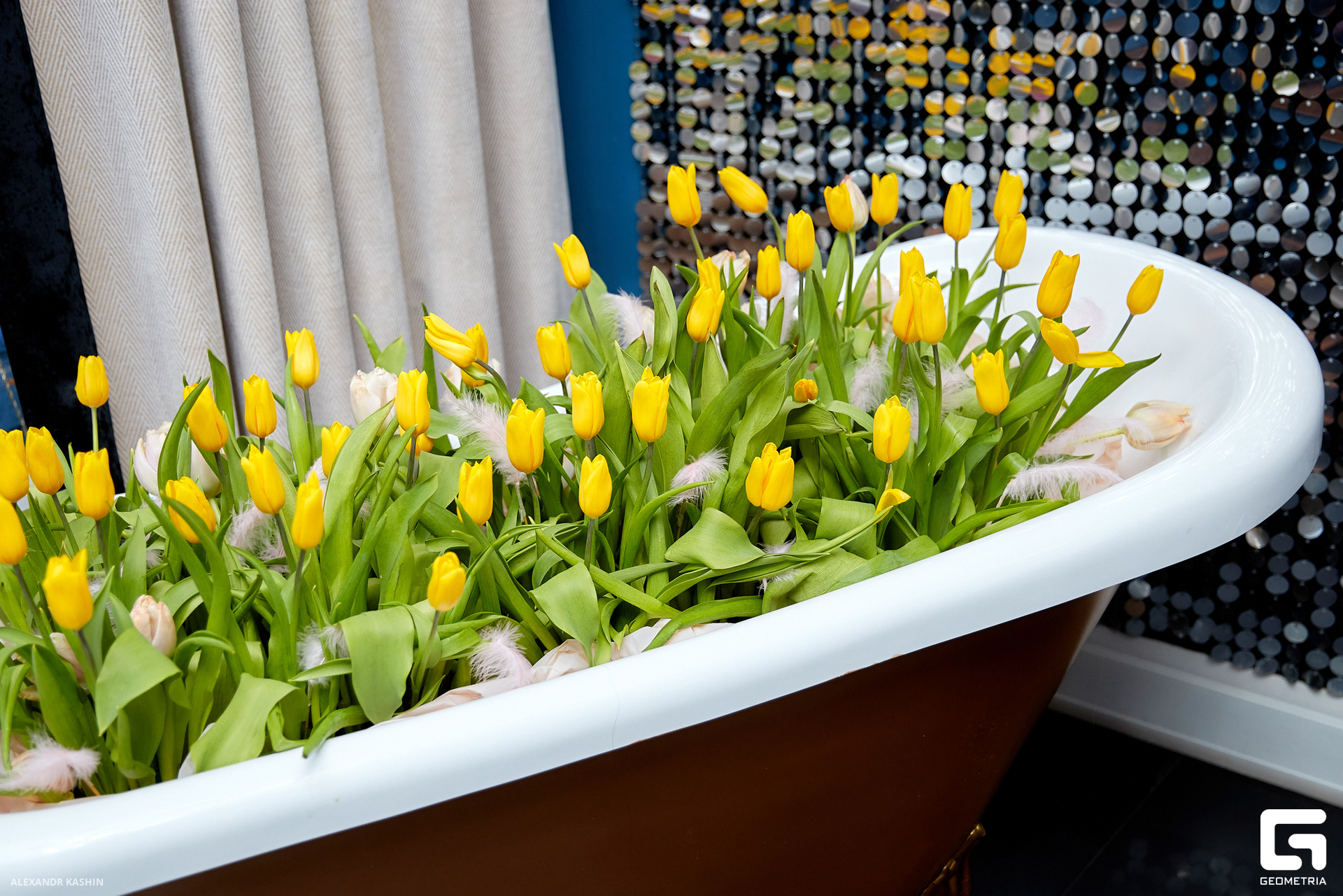 0002 24-03-08 233124 Kashin.jpg