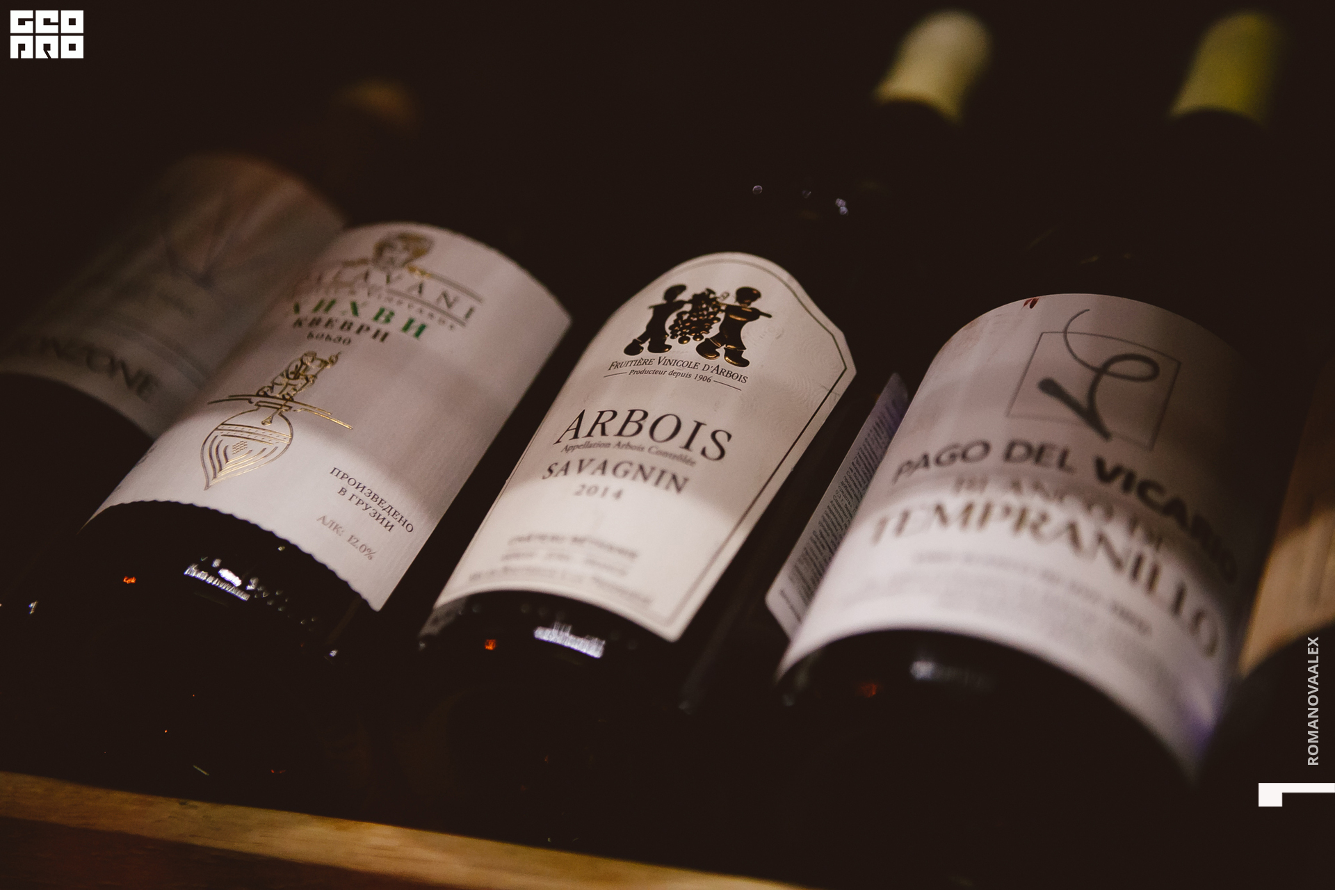 035 211005  220308 _ale_romanova.jpg