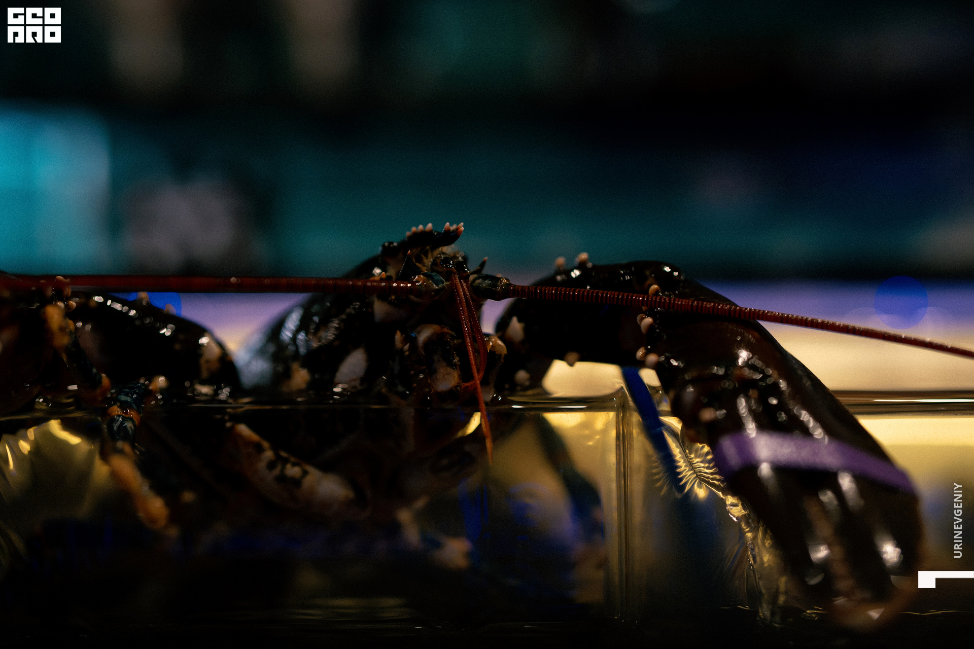 28.10.2021. Kraken (11).jpg