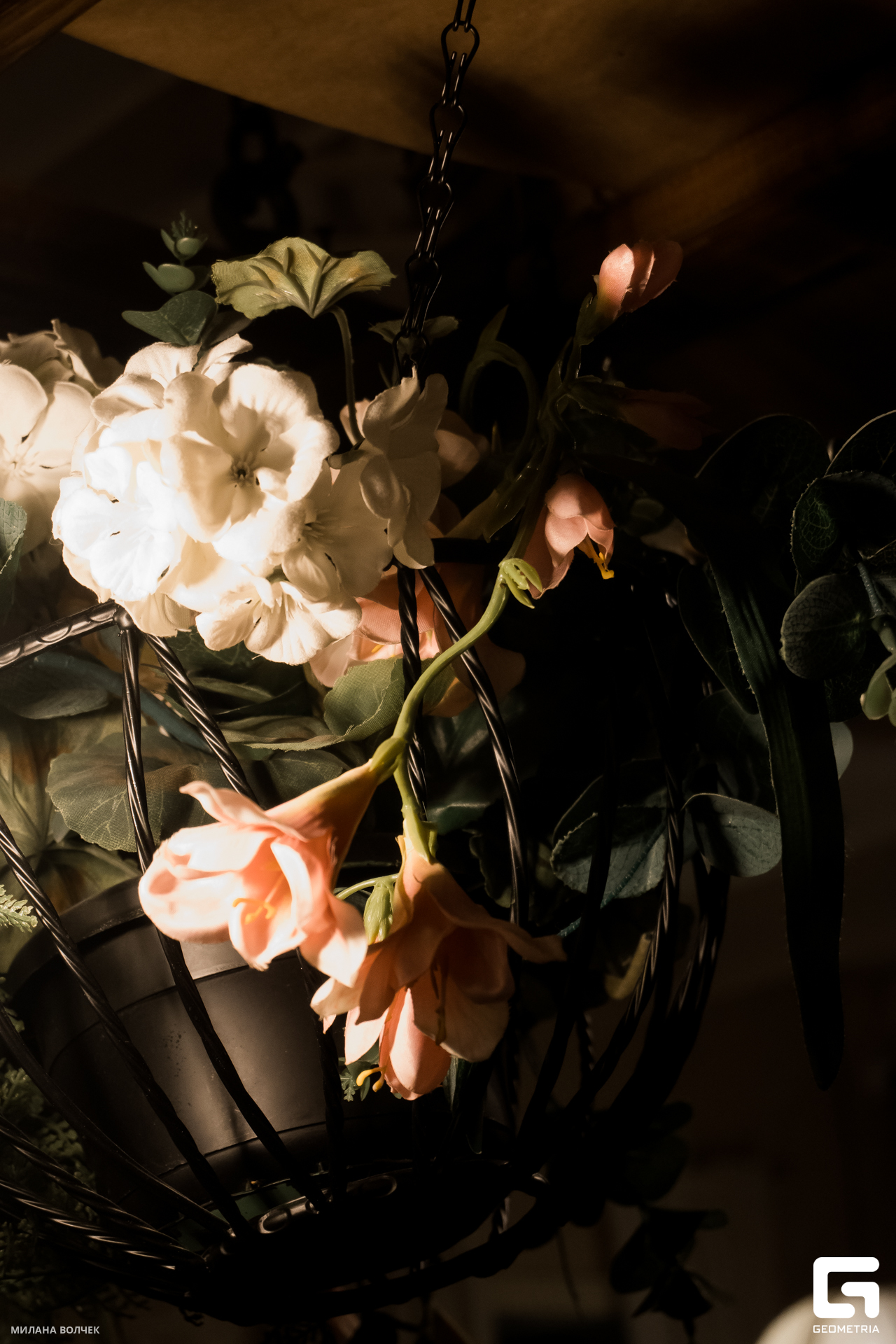 018_20231124 Волчек.jpg