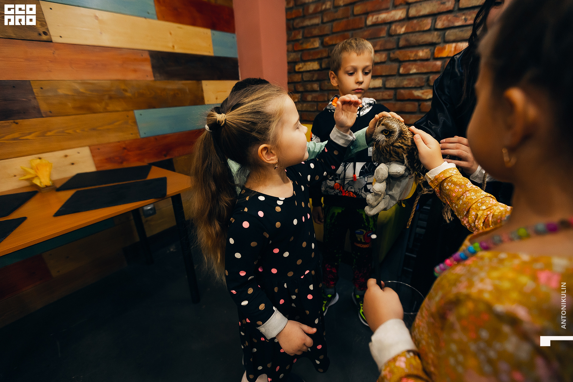 untitled shoot-4528.jpg