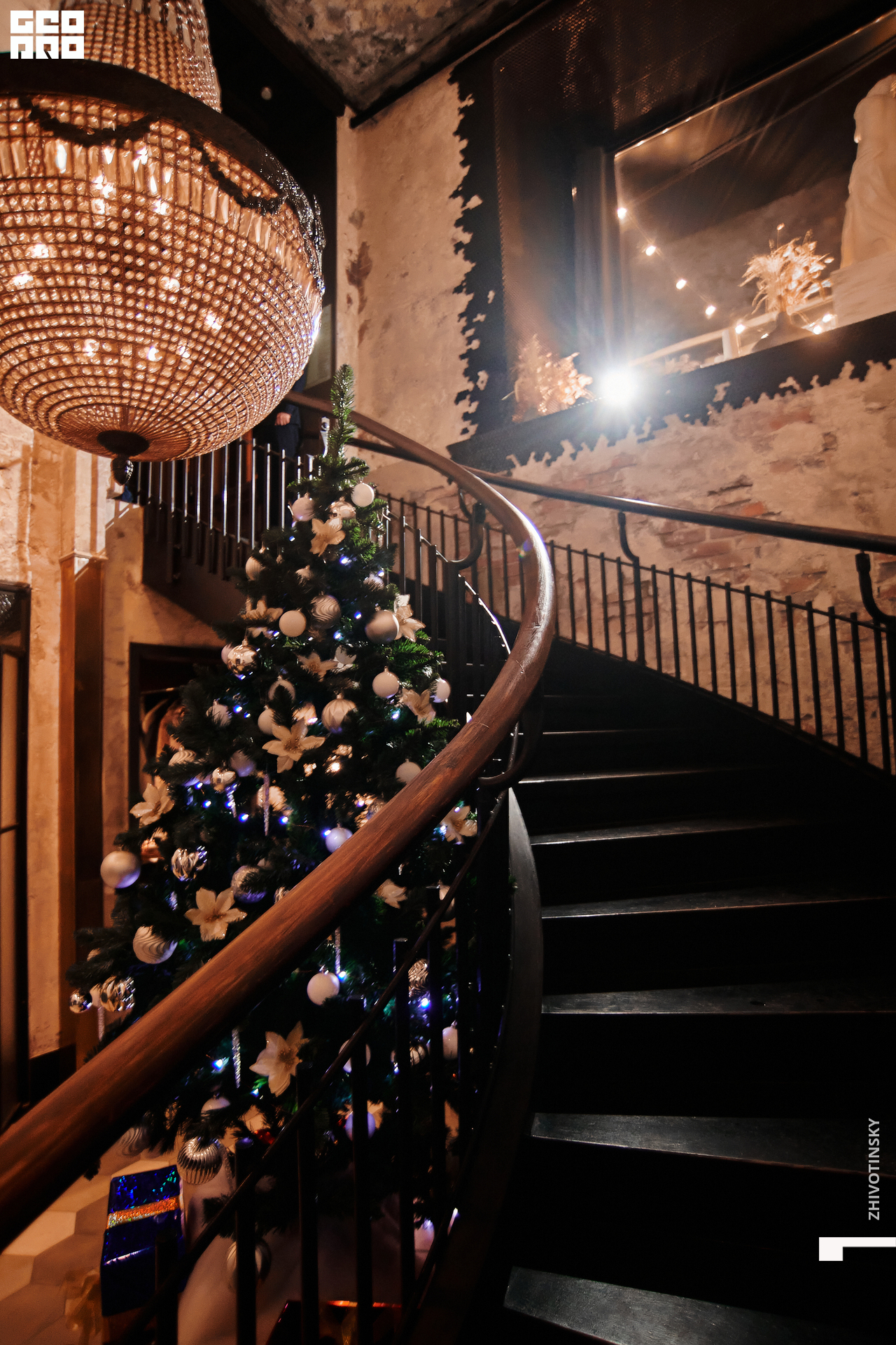 097_24-12-21_11-06 _Zhivotinsky.jpg