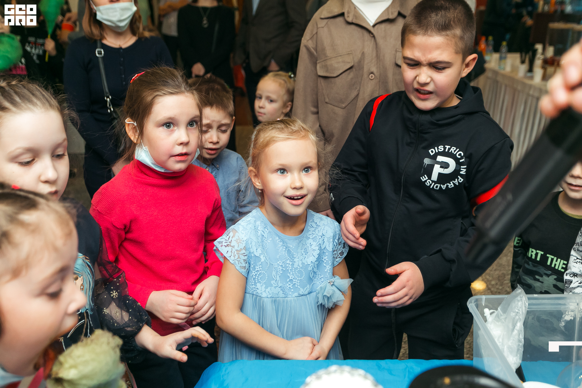 141-20211211-00-11.12.21 - Ёлки.jpg