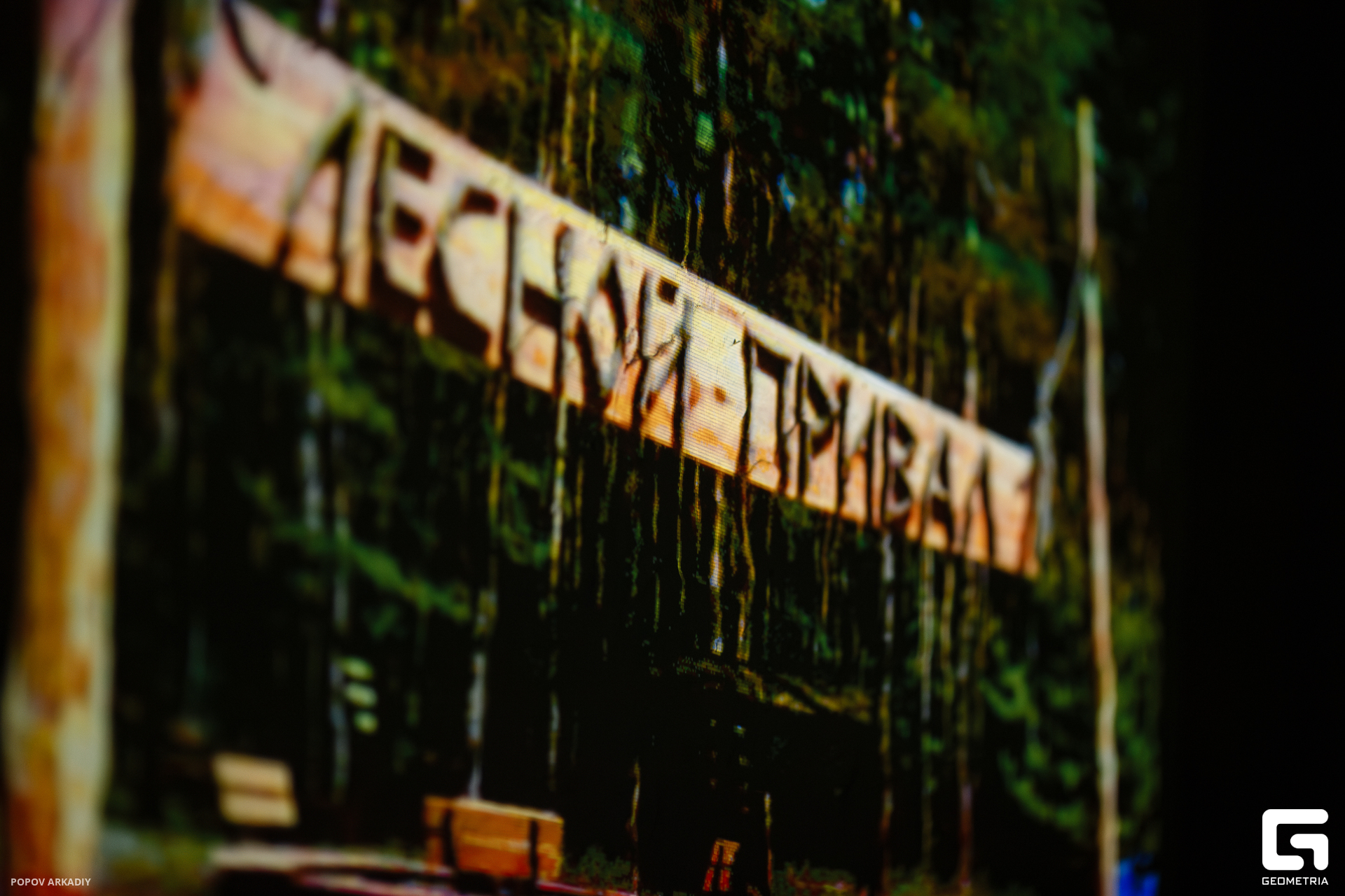 IMG_4587-Улучшено-Ум. шума.jpg