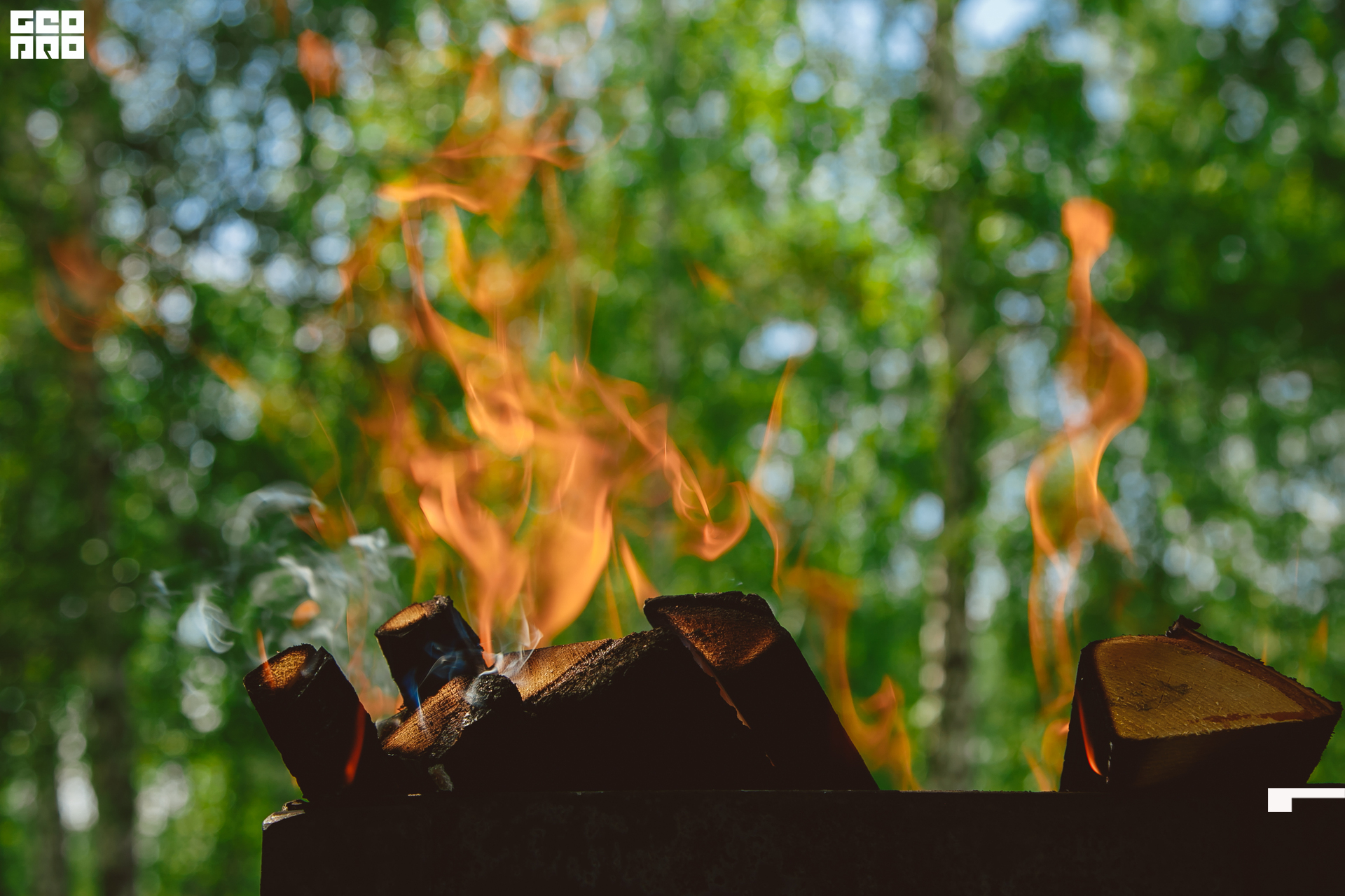 150  06192022  233516 .jpg