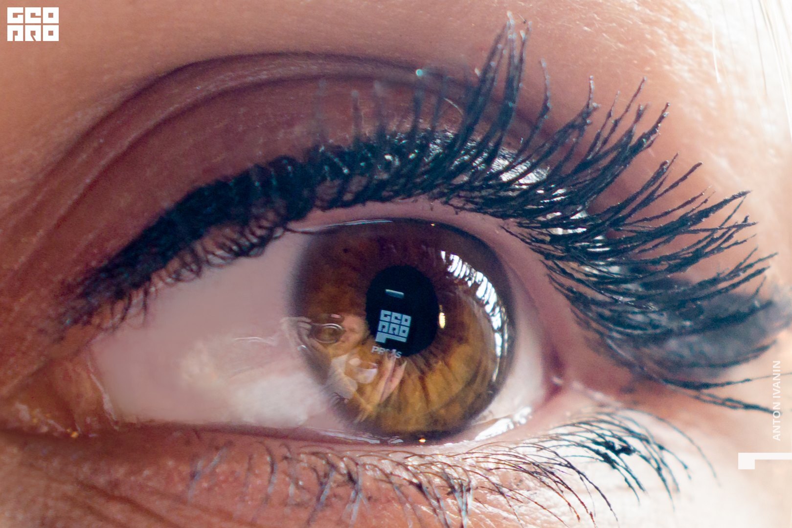 DSC03780 (Копировать).jpg