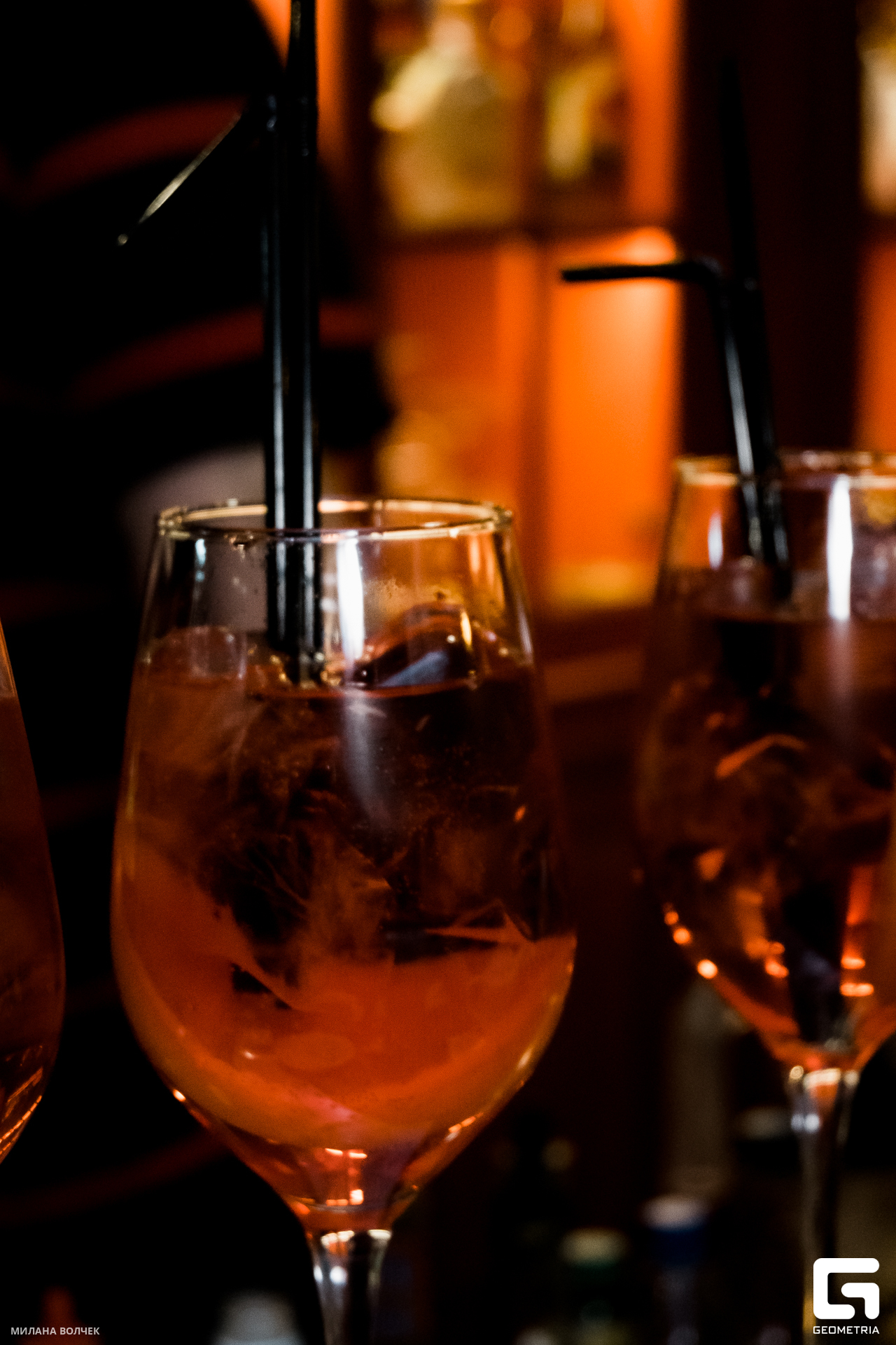 021_20231124 Волчек.jpg