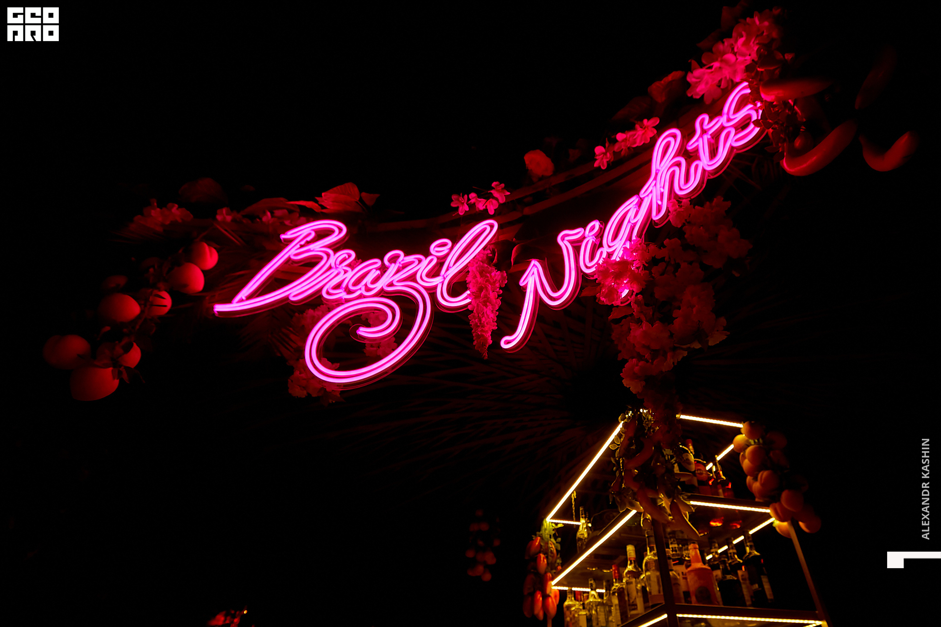 0096 23-01-08 044550 Kashin.jpg