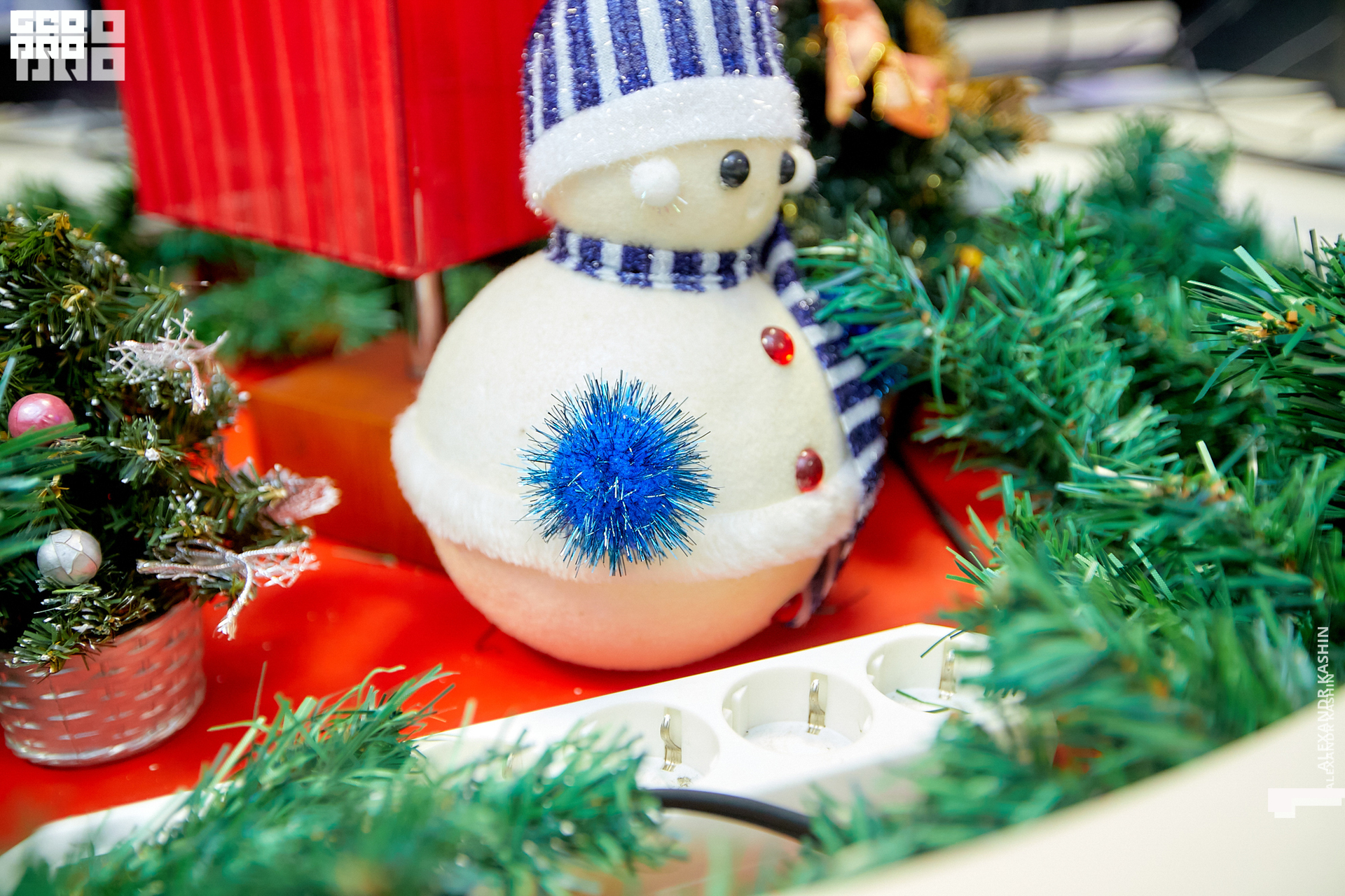 0030 21-12-23 182630 Kashin.jpg