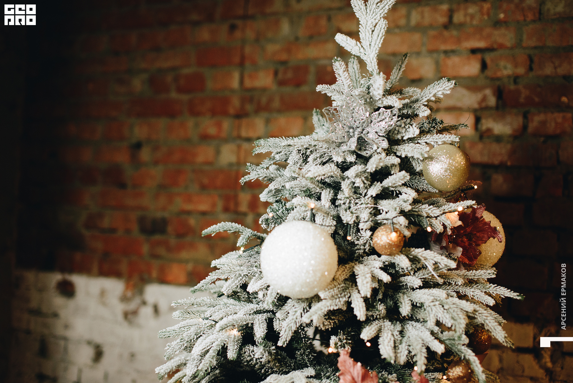 004 212848010223_arseniyermakov.jpg