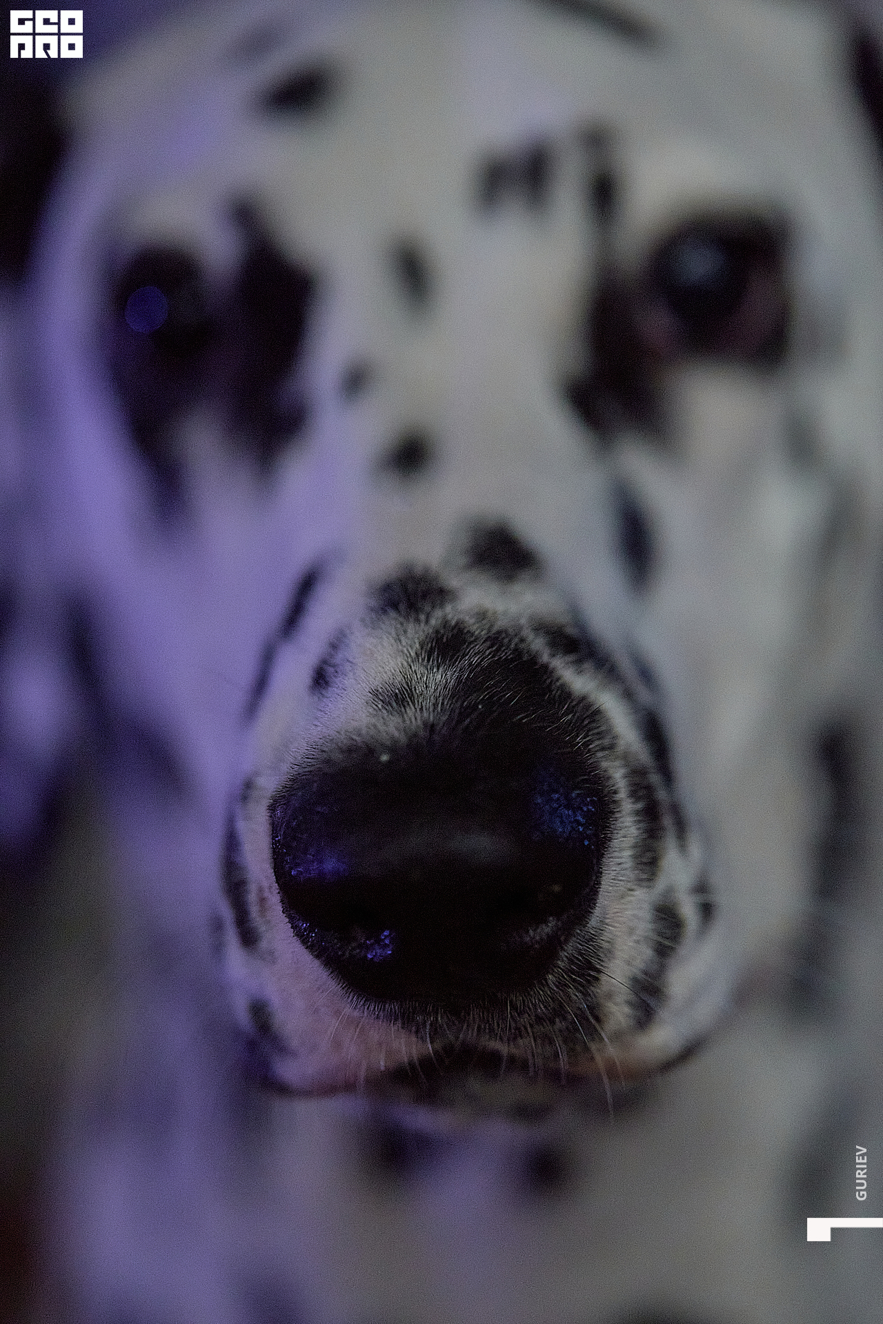 Новая папка320.jpg