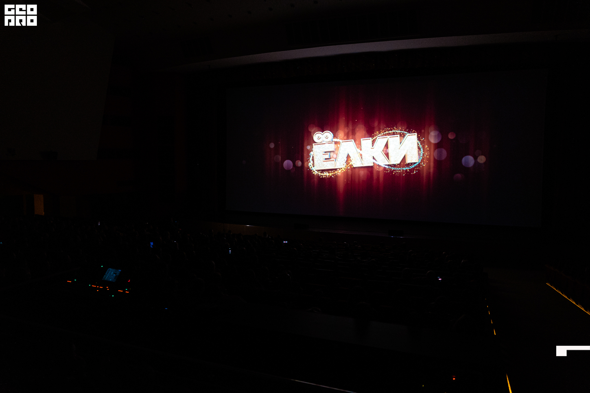 251-20211211-45-11.12.21 - Ёлки.jpg