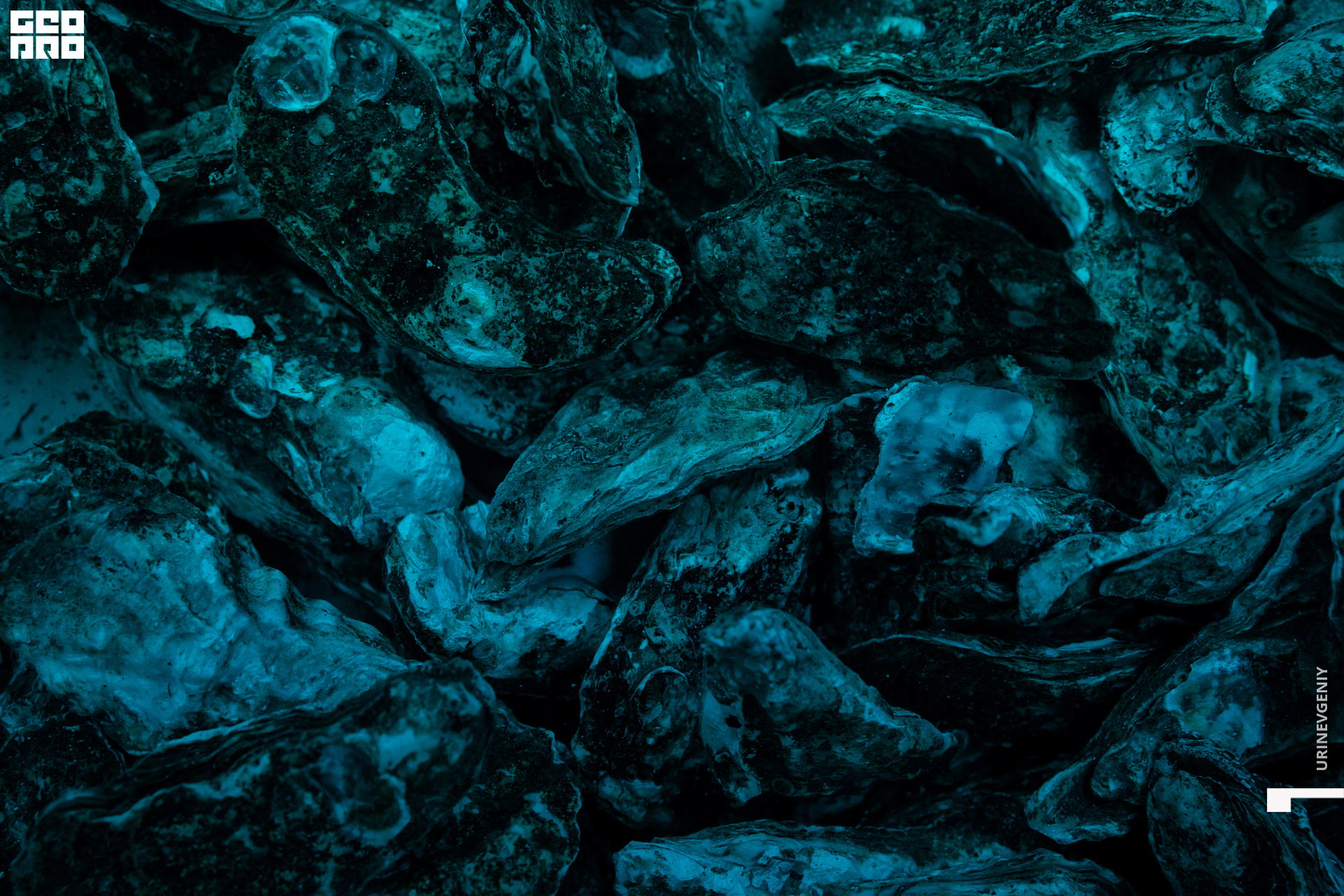 08.03.2021. Café Krasnodar (17).jpg