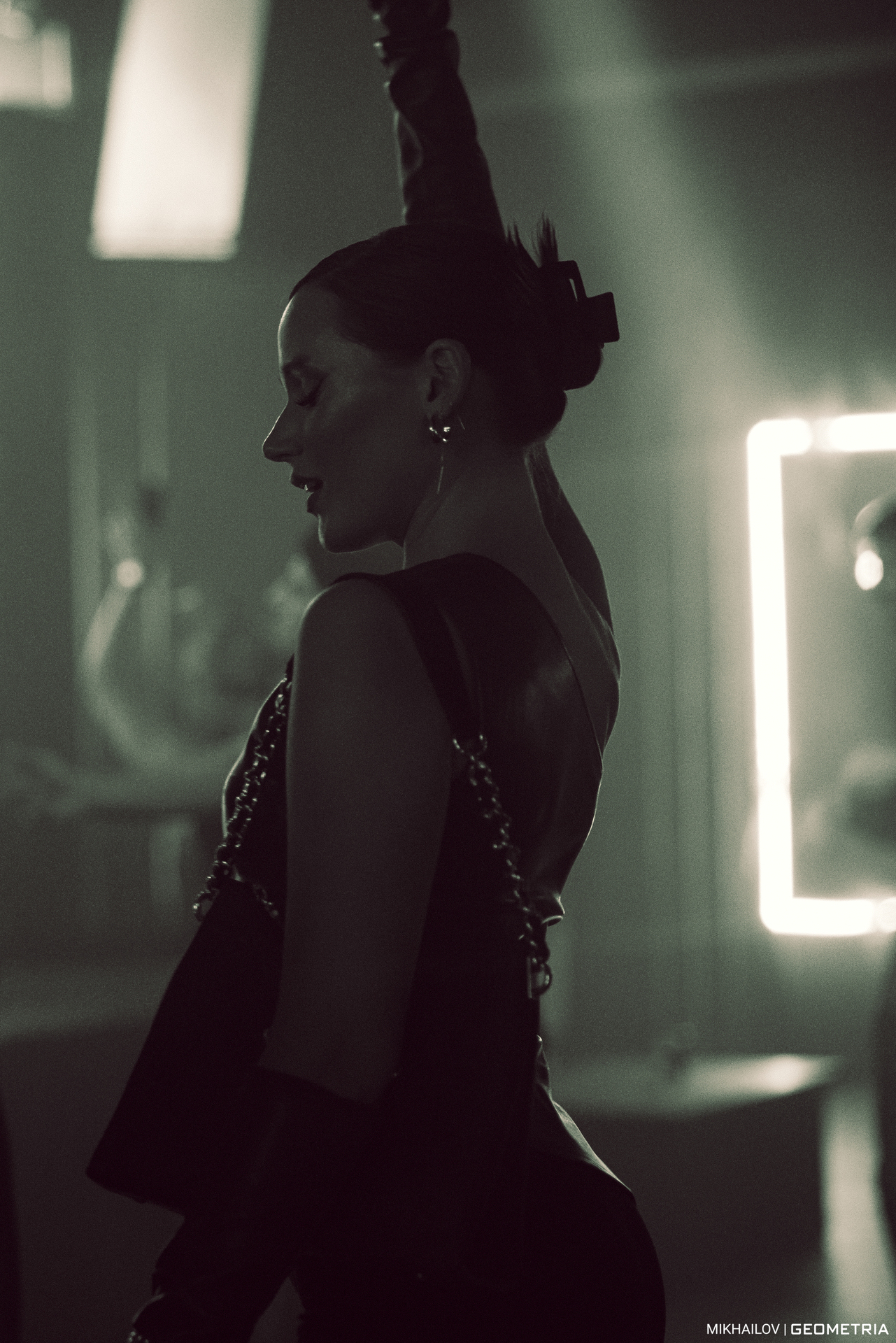 135-311224-1215 Mikhailov-weblogo.jpg