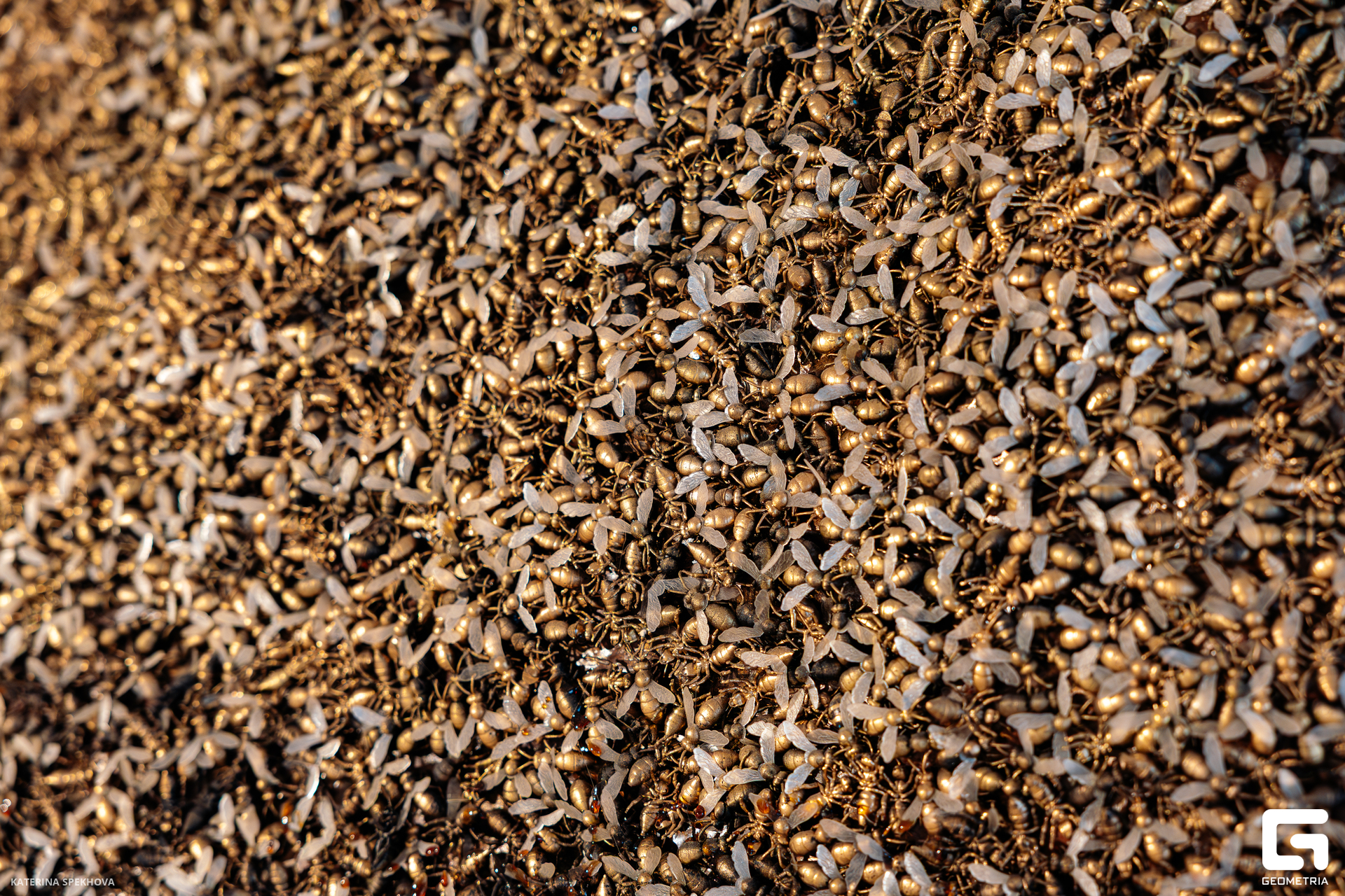 0J2A3028-Улучшено-Ум. шума.jpg