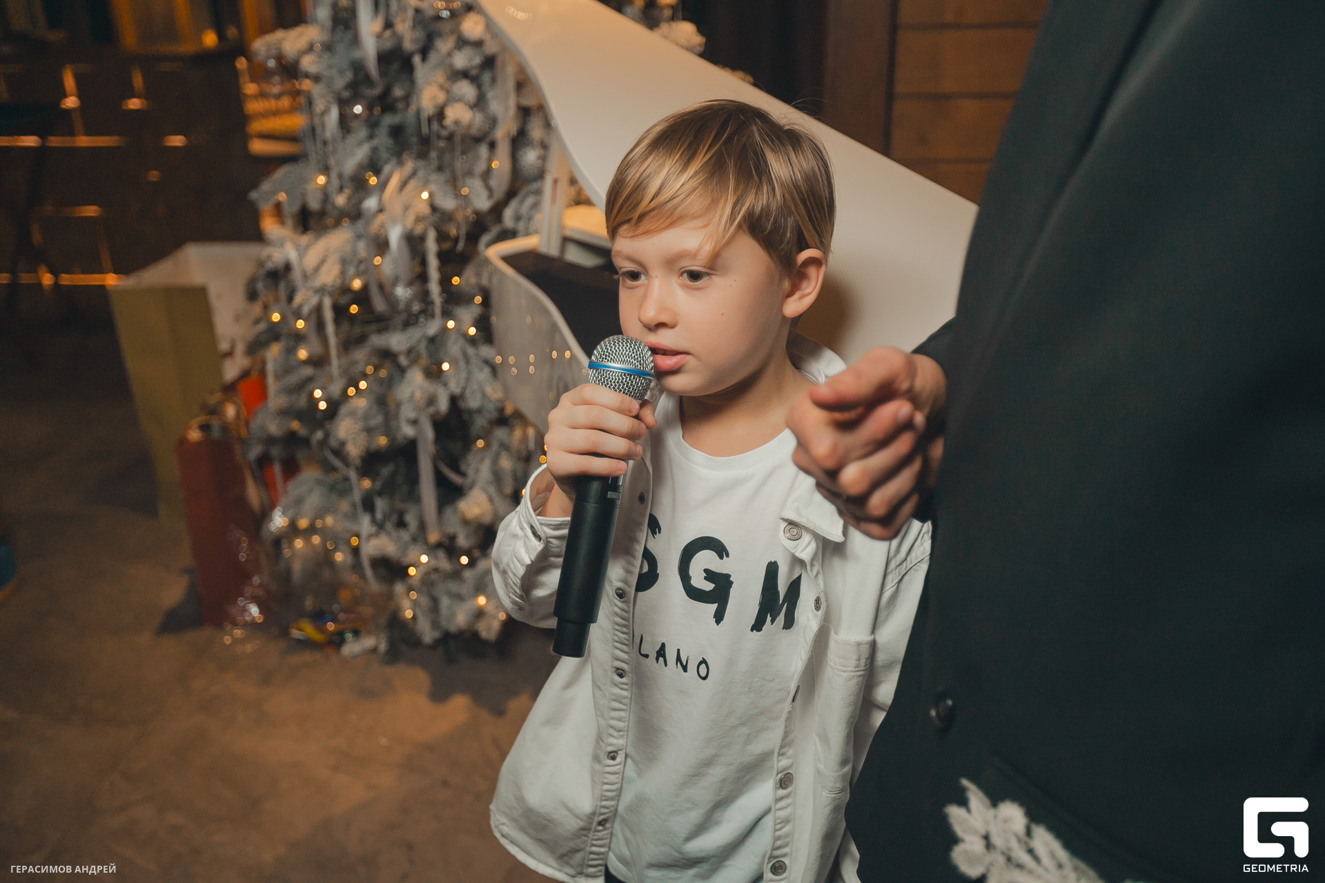 101 Шале 31. 12.jpg