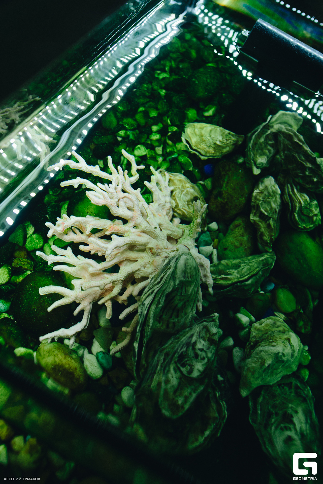 010 06202023_062023_ermakov.jpg