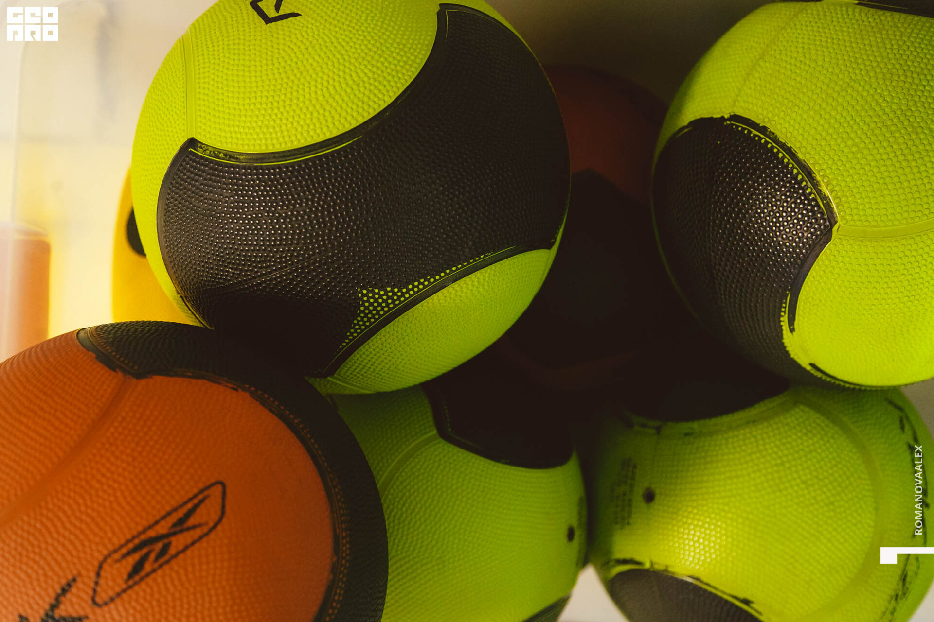 201 211127  102726 _ale_romanova.jpg